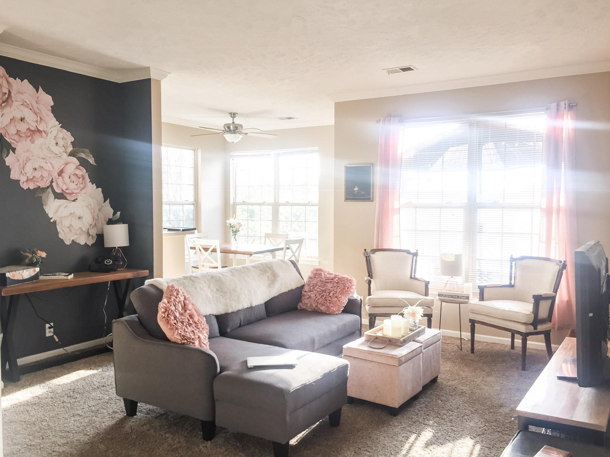 Living Room Omaha, NE r/AmateurRoomPorn