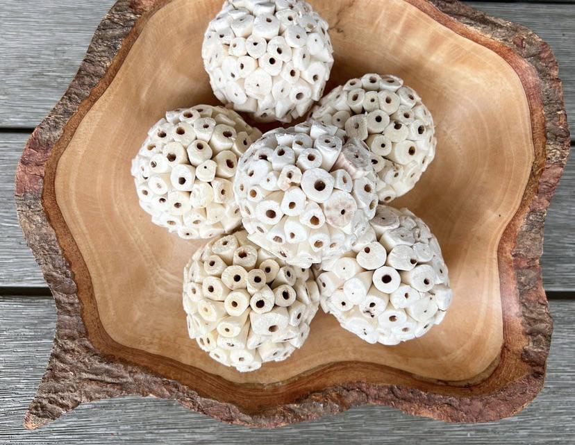 Does anyone know is Sola is safe for rabbits? My bunnies eat what they