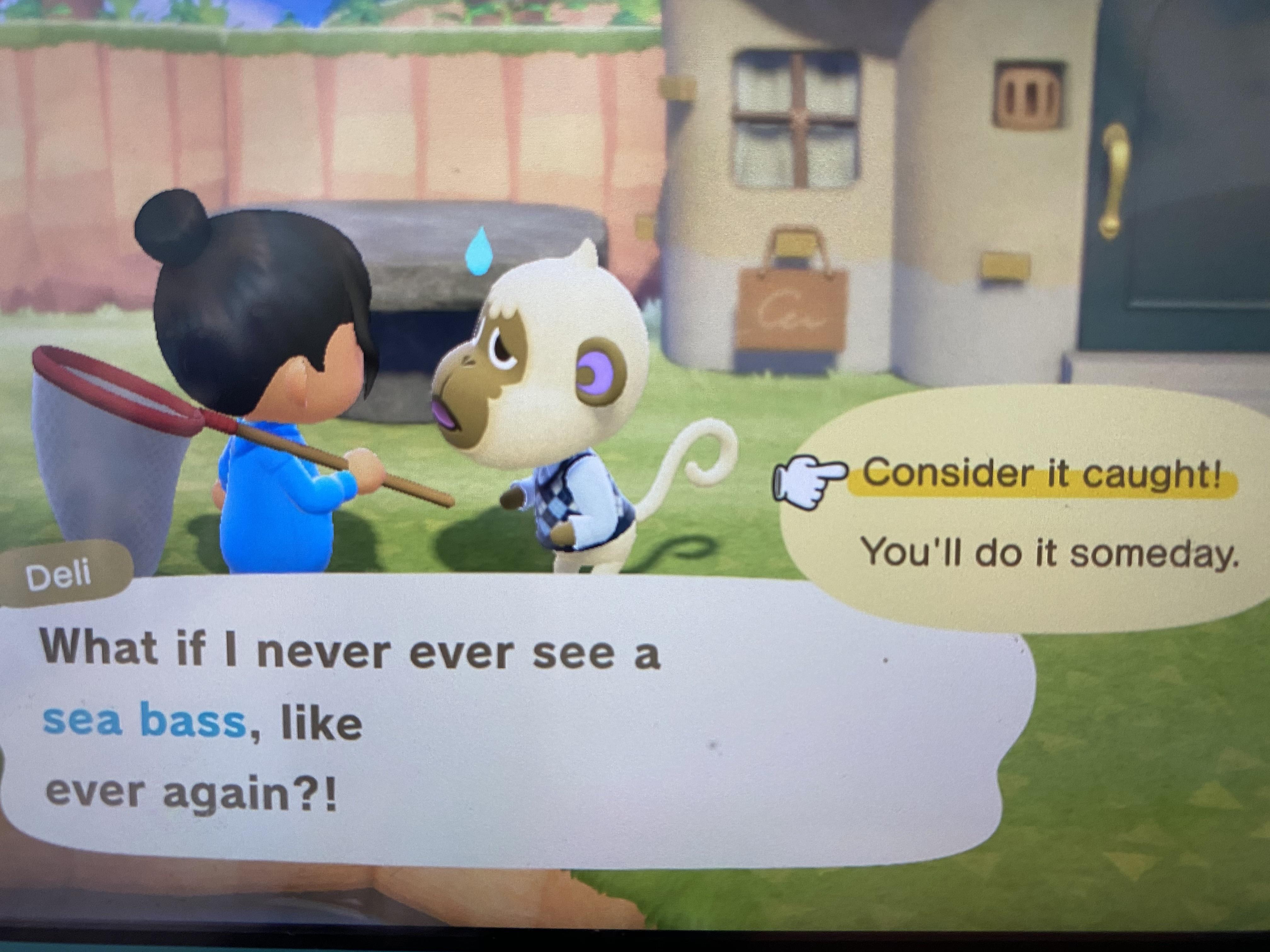 EXTREMELY unlikely, Deli. r/AnimalCrossing