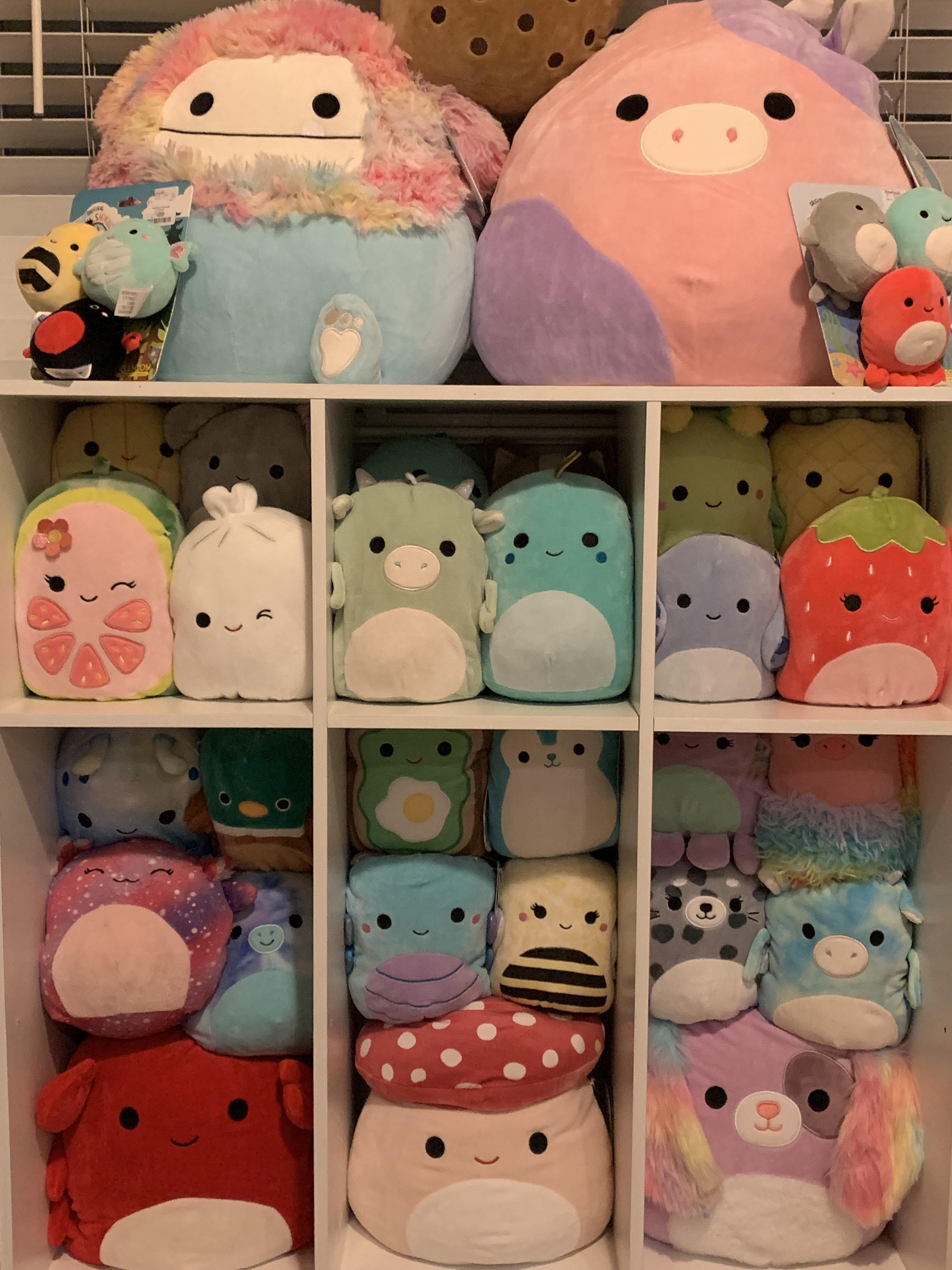 excellence OG calton squishmallow www.nojirien.co.jp