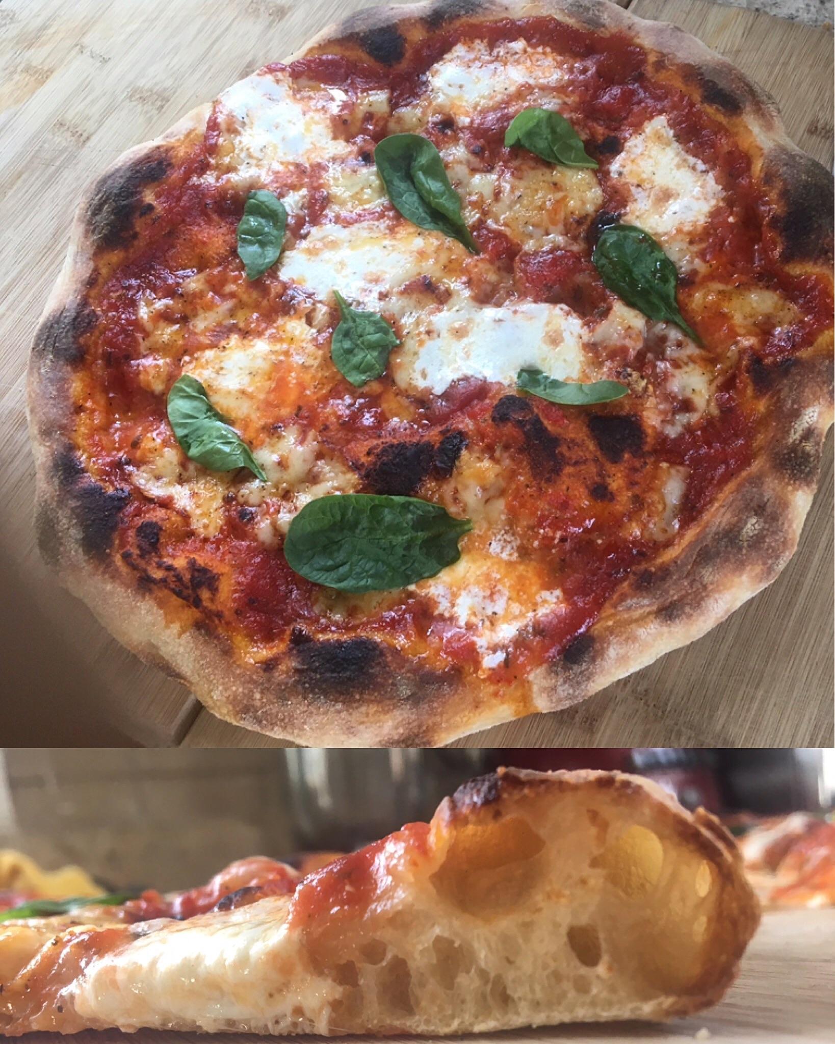 Homemade Sourdough 3 Cheese (Mozzarella, Asiago, & Parmesan) r/Pizza