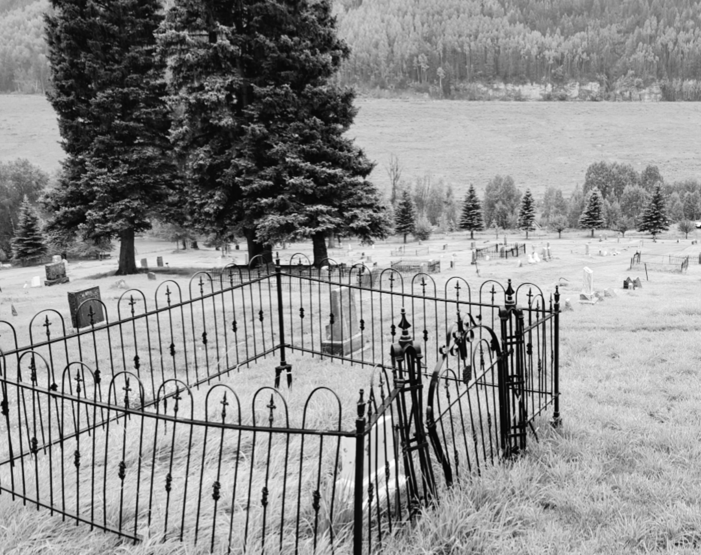 Telluride, Colorado cemetery. r/CemeteryPorn