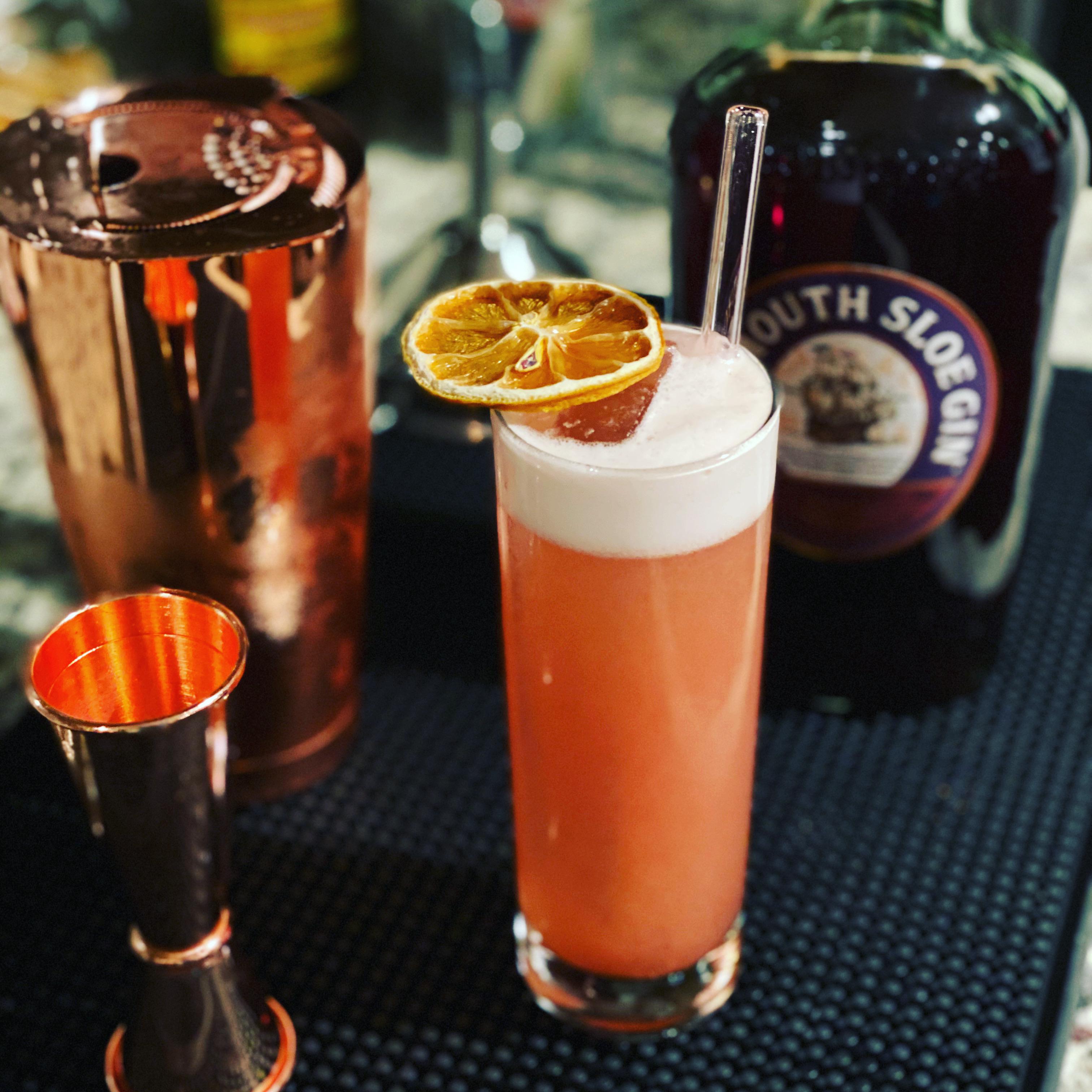 First time trying a Sloe Gin Fizz! r/cocktails