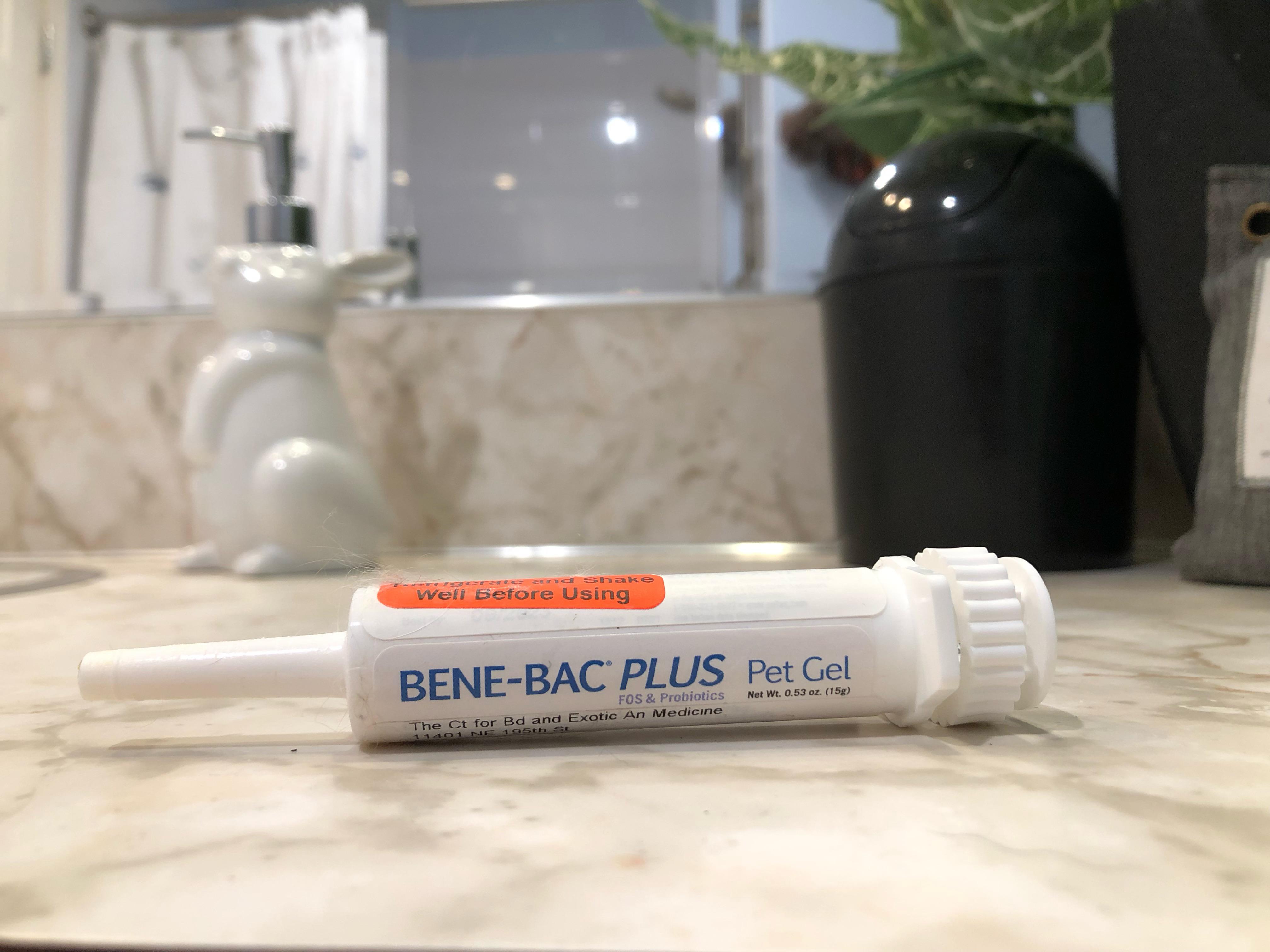 benebac plus supplement? Rabbits