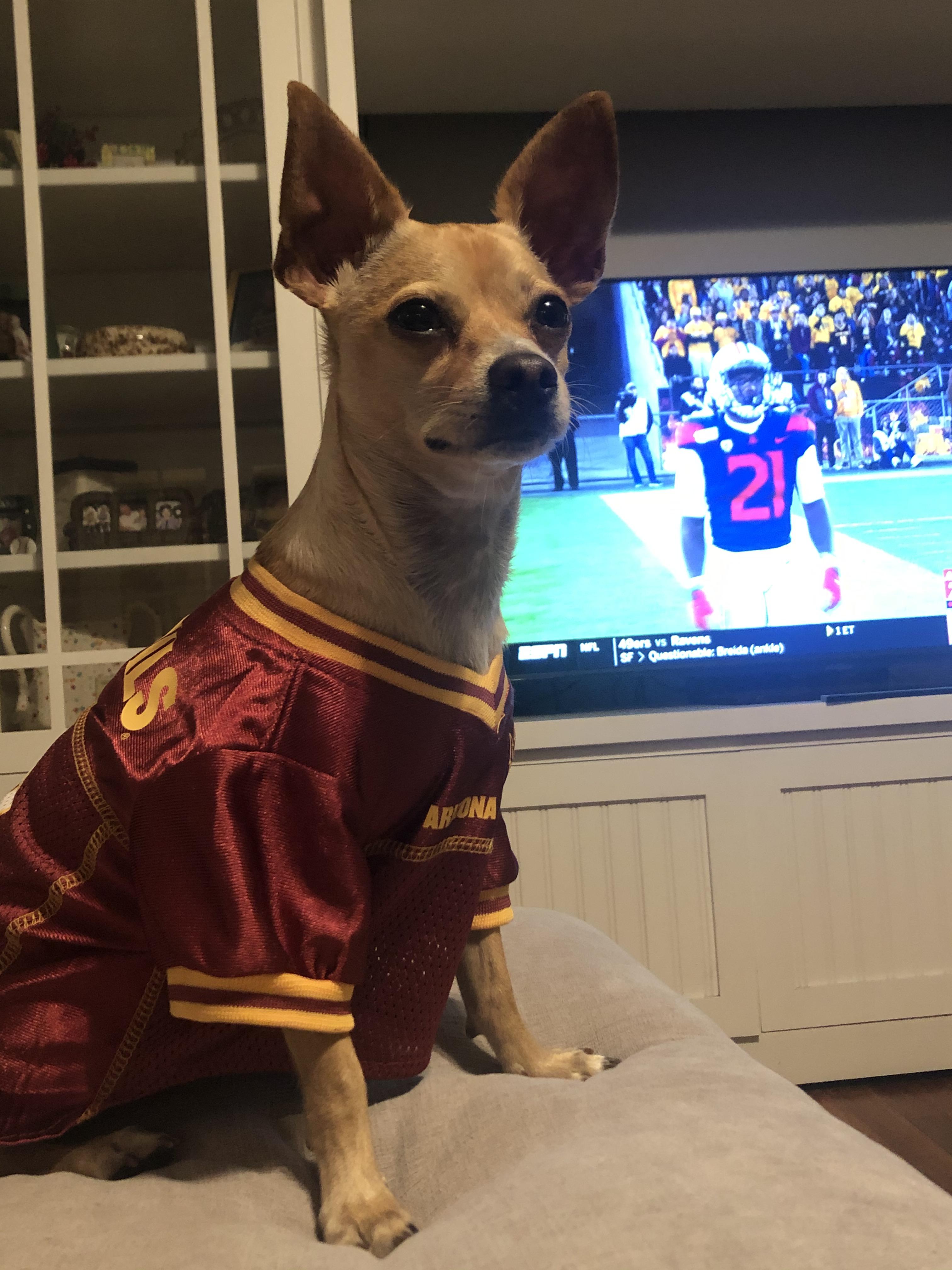 Despite our participation in the Ollie ASU game