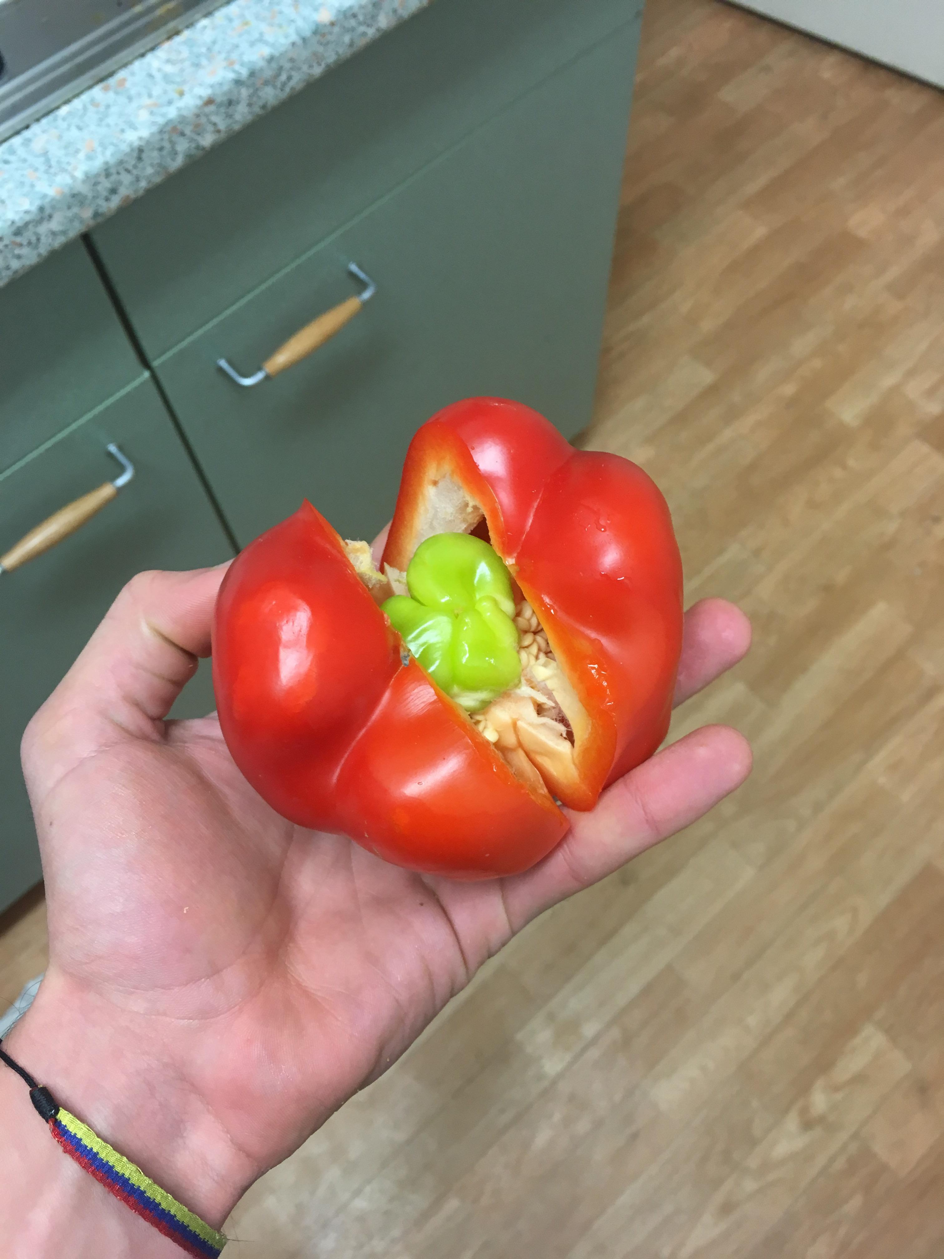 Baby paprika in a paprika r/2healthbars