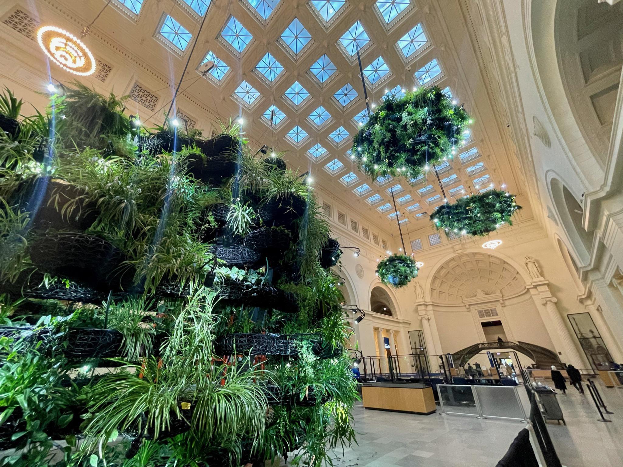 Museum in Chicago has these GIGANTIC hanging plant displays. One was on