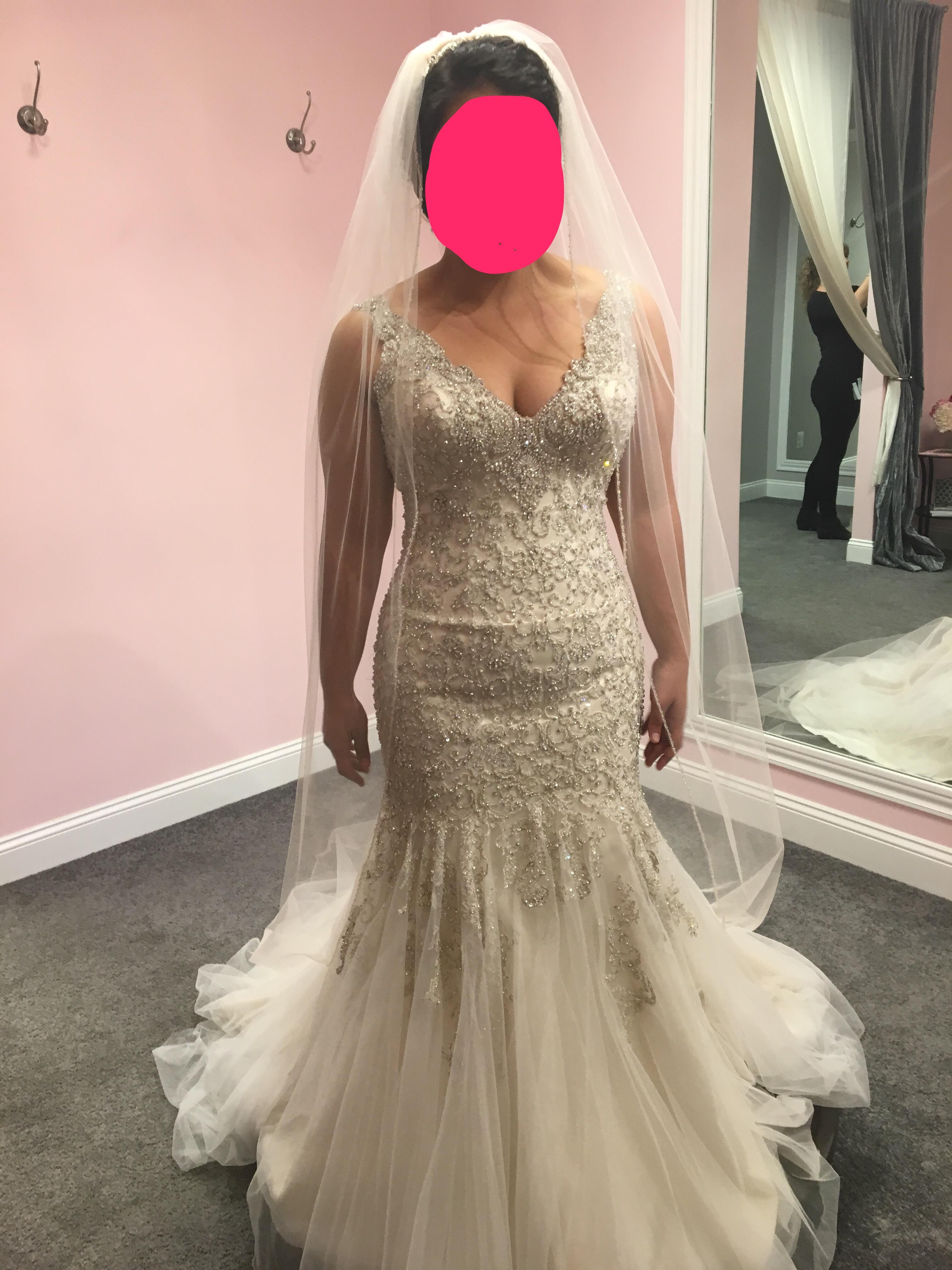 Bought my dress! Went in thinking I would get a lace dress with sleeves