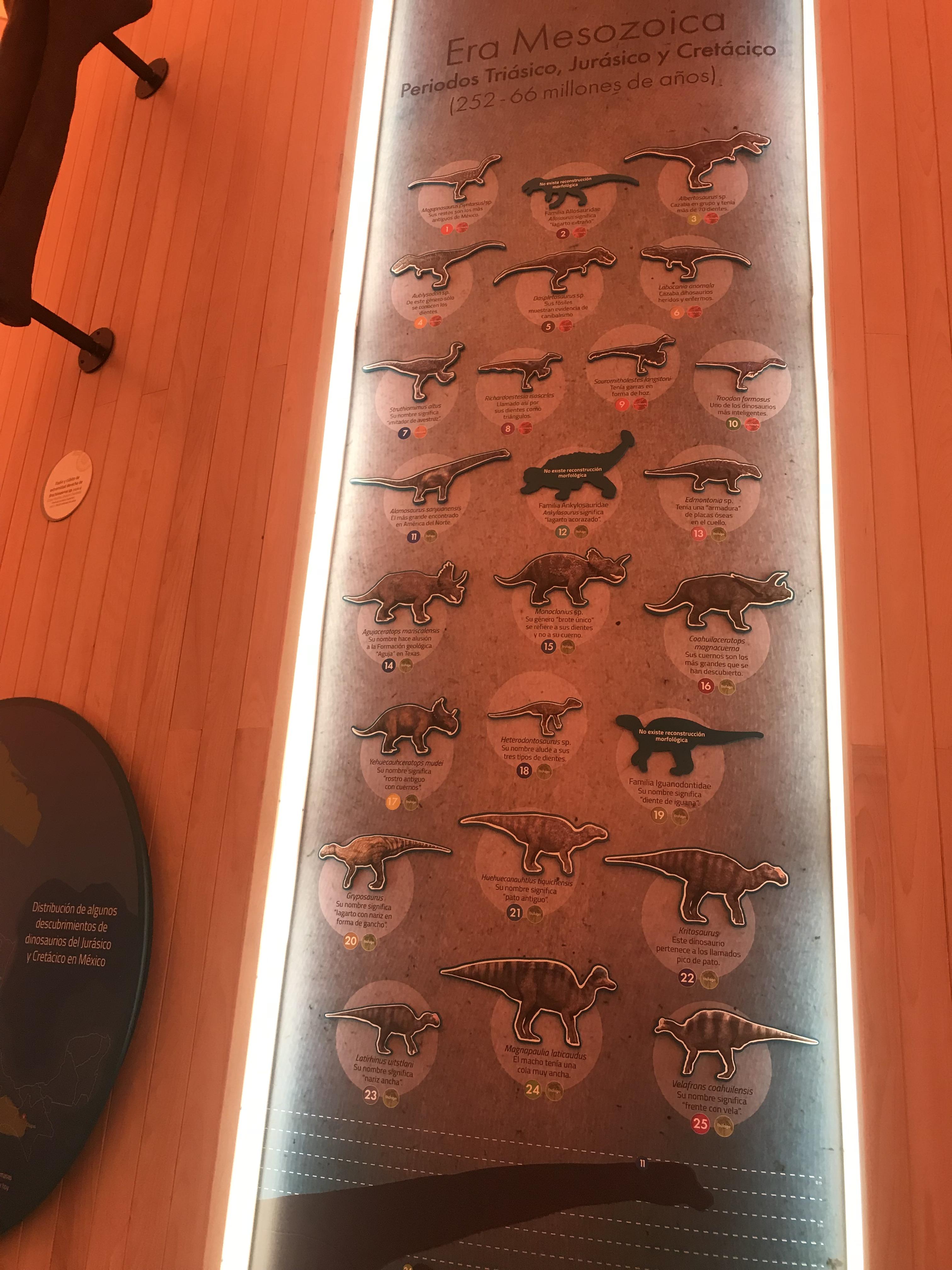 Dinosaurs that have been found in Mexico, quality isn’t that good but