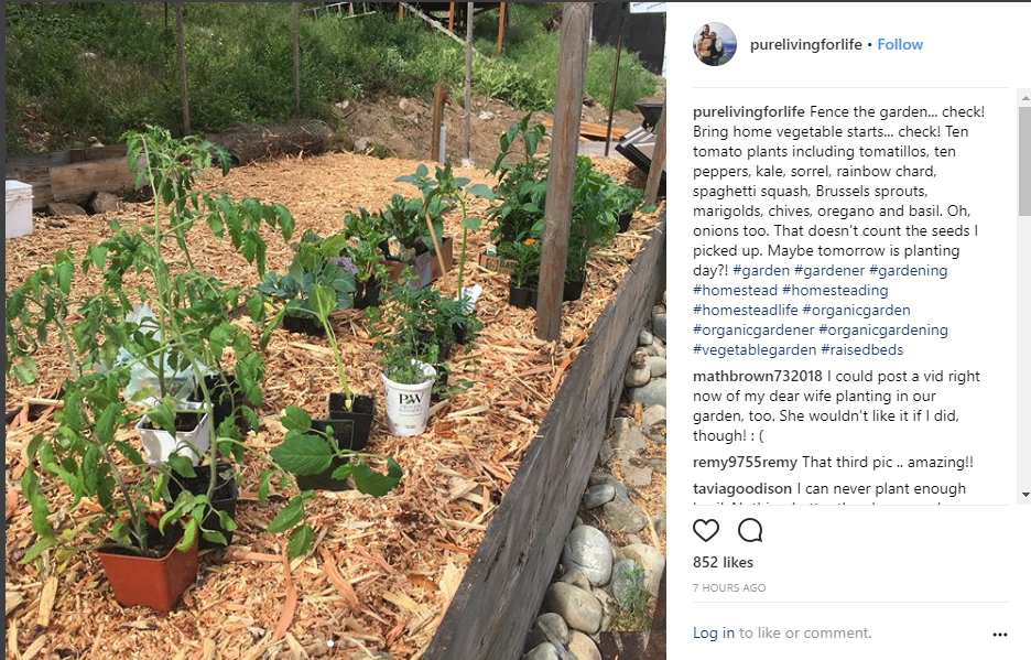 Reddit Dive into anything