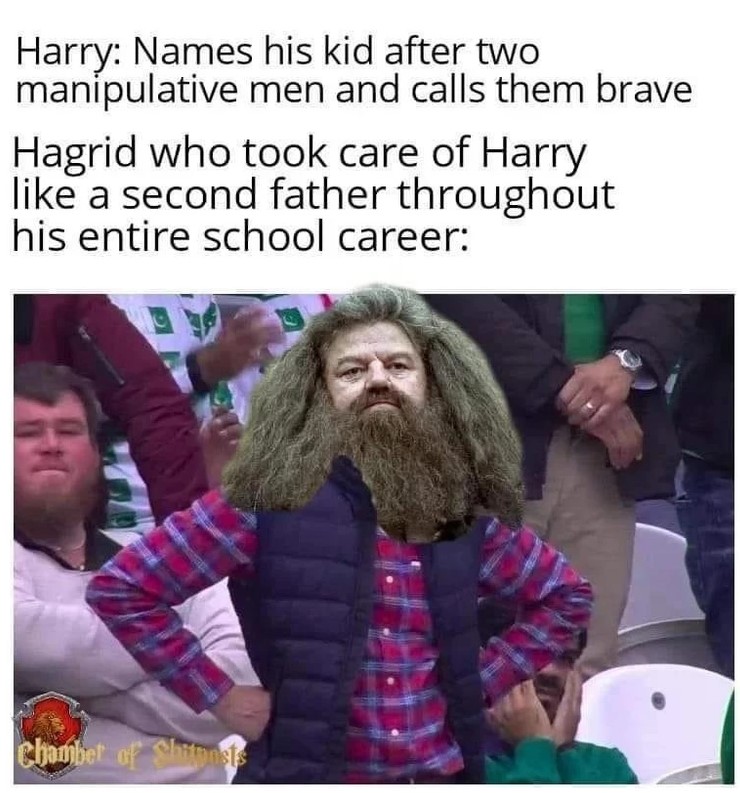 Seems appropriate with all the recent "Harry's Kids' Names" posts. r/harrypotter