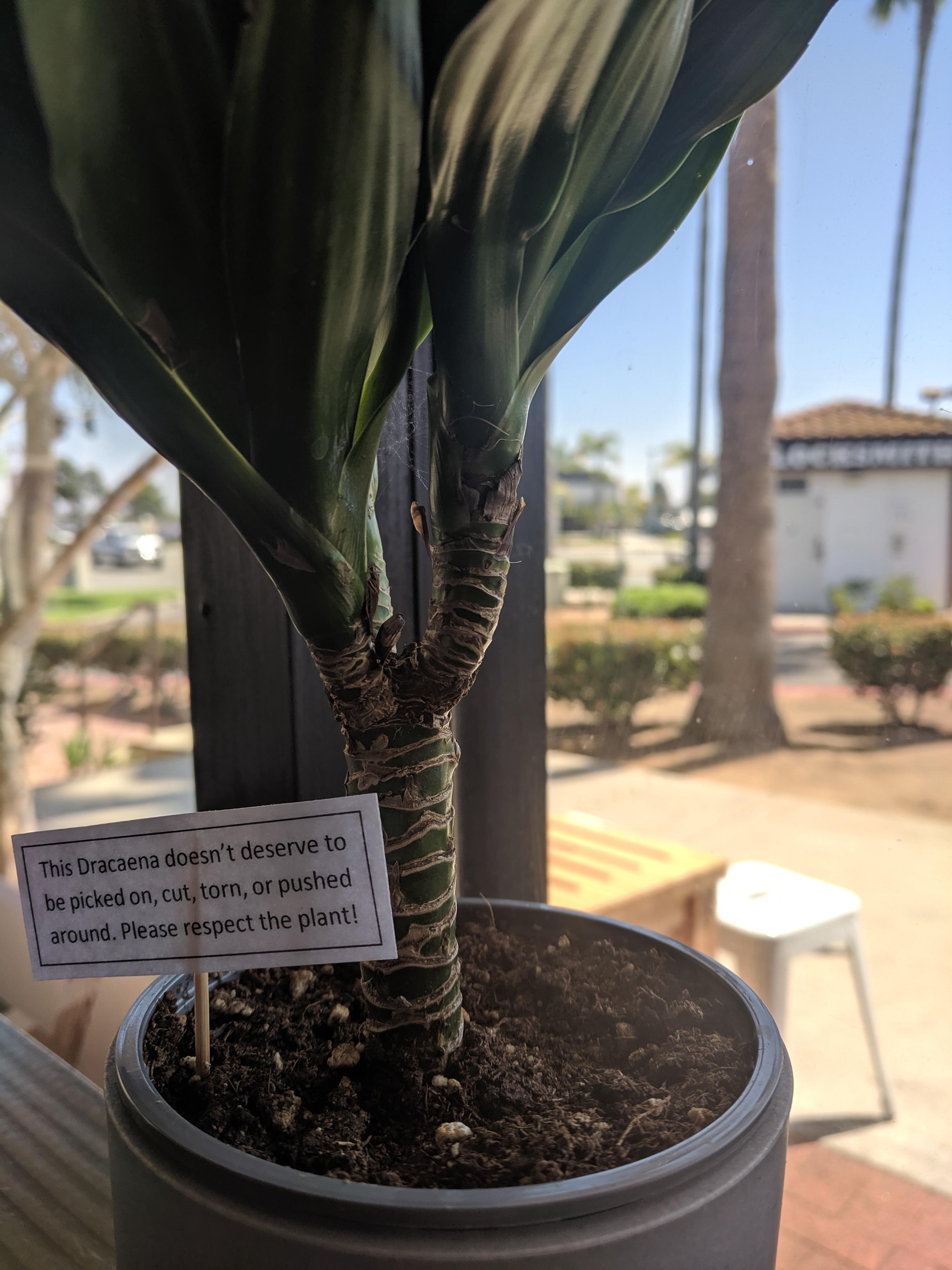 Plants have feelings too r/pics