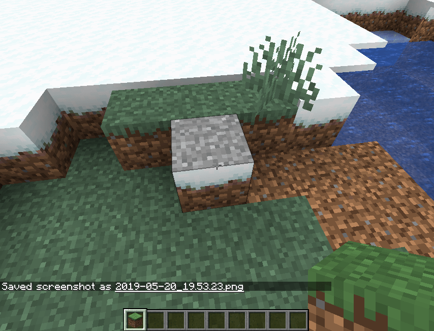 Rare naturally generated variant of snowy grass without snow (super
