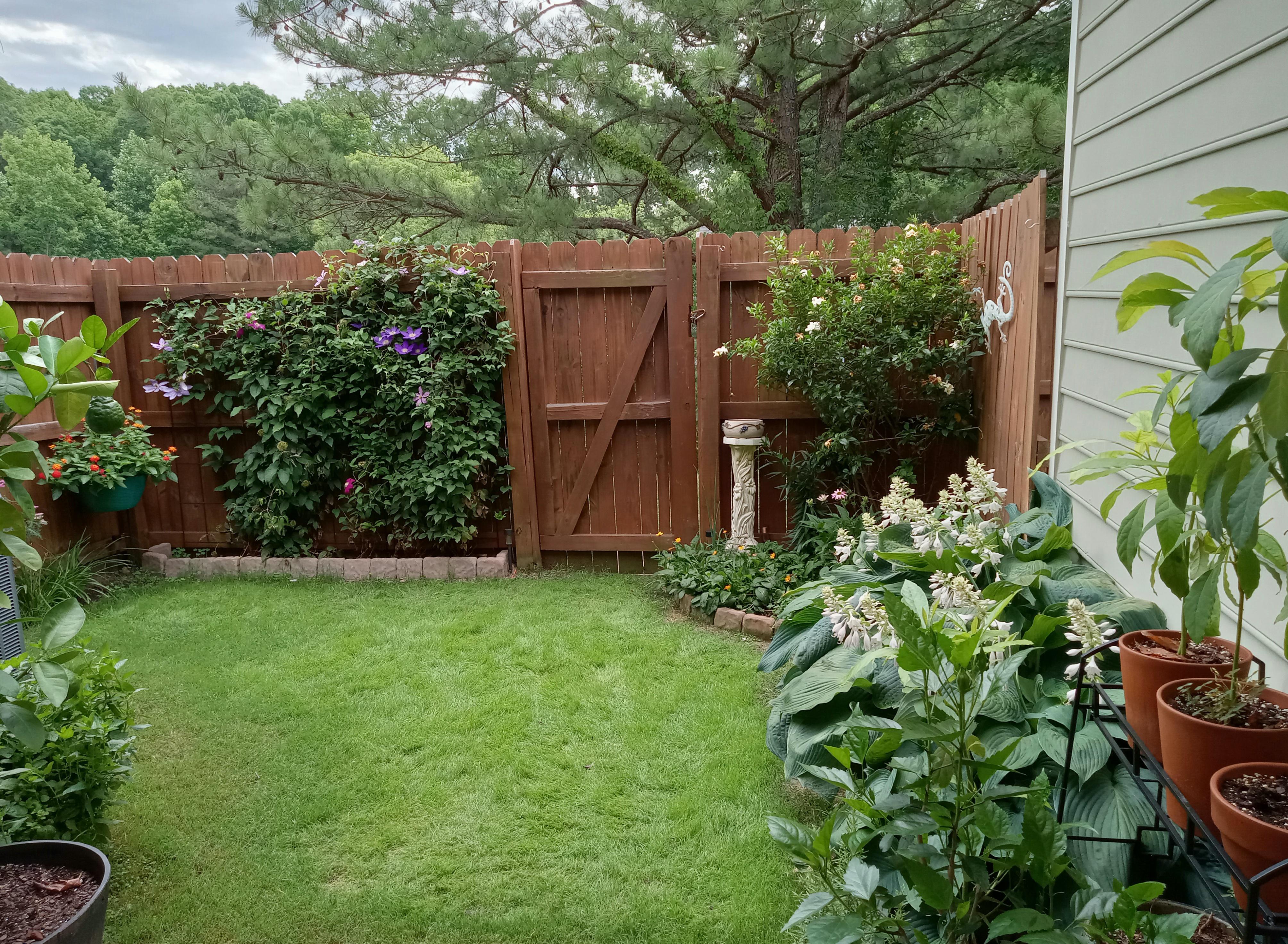 Townhouse life doesn't mean no yard. It's small but it's my little