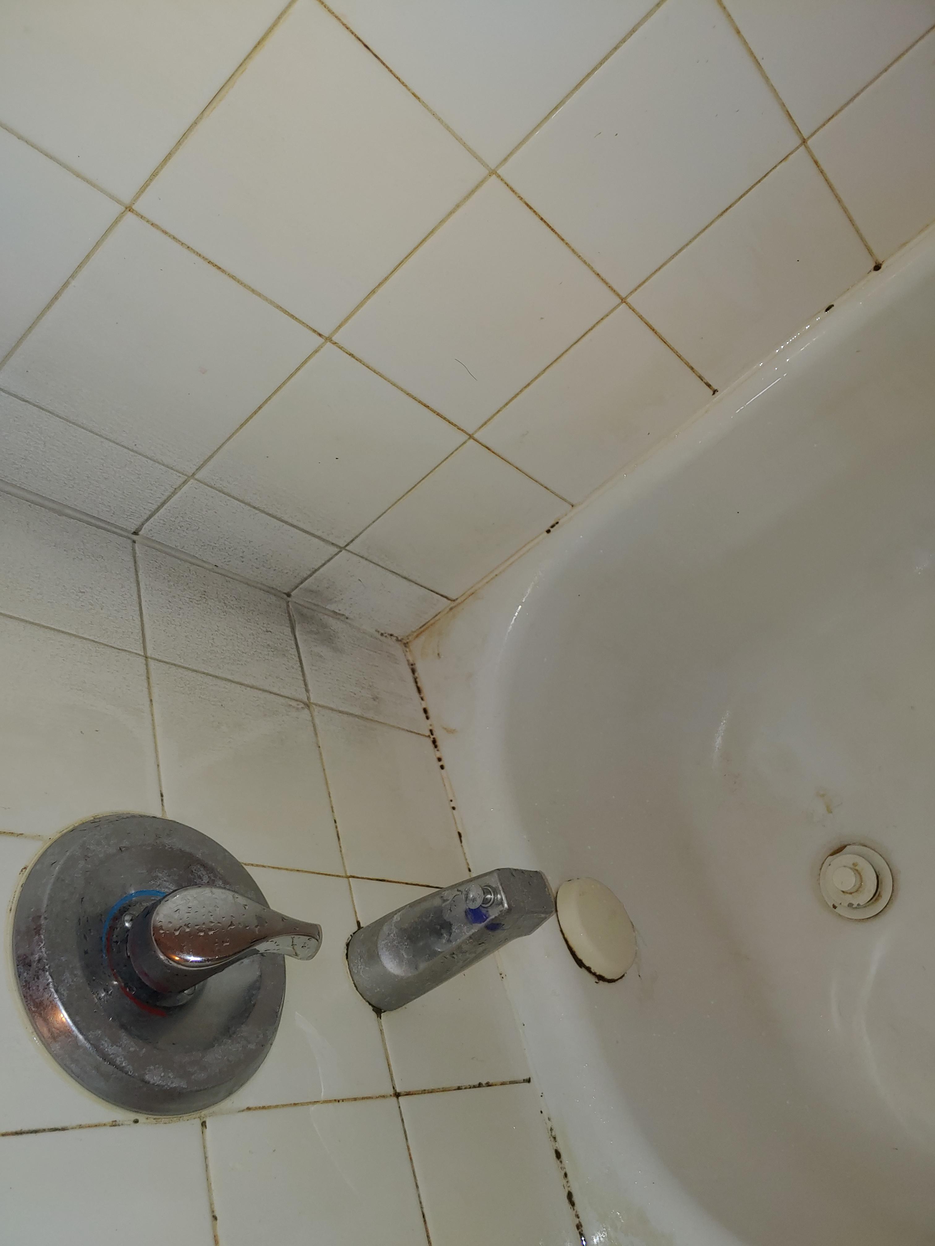 Bathtub won't scrub r/CleaningTips