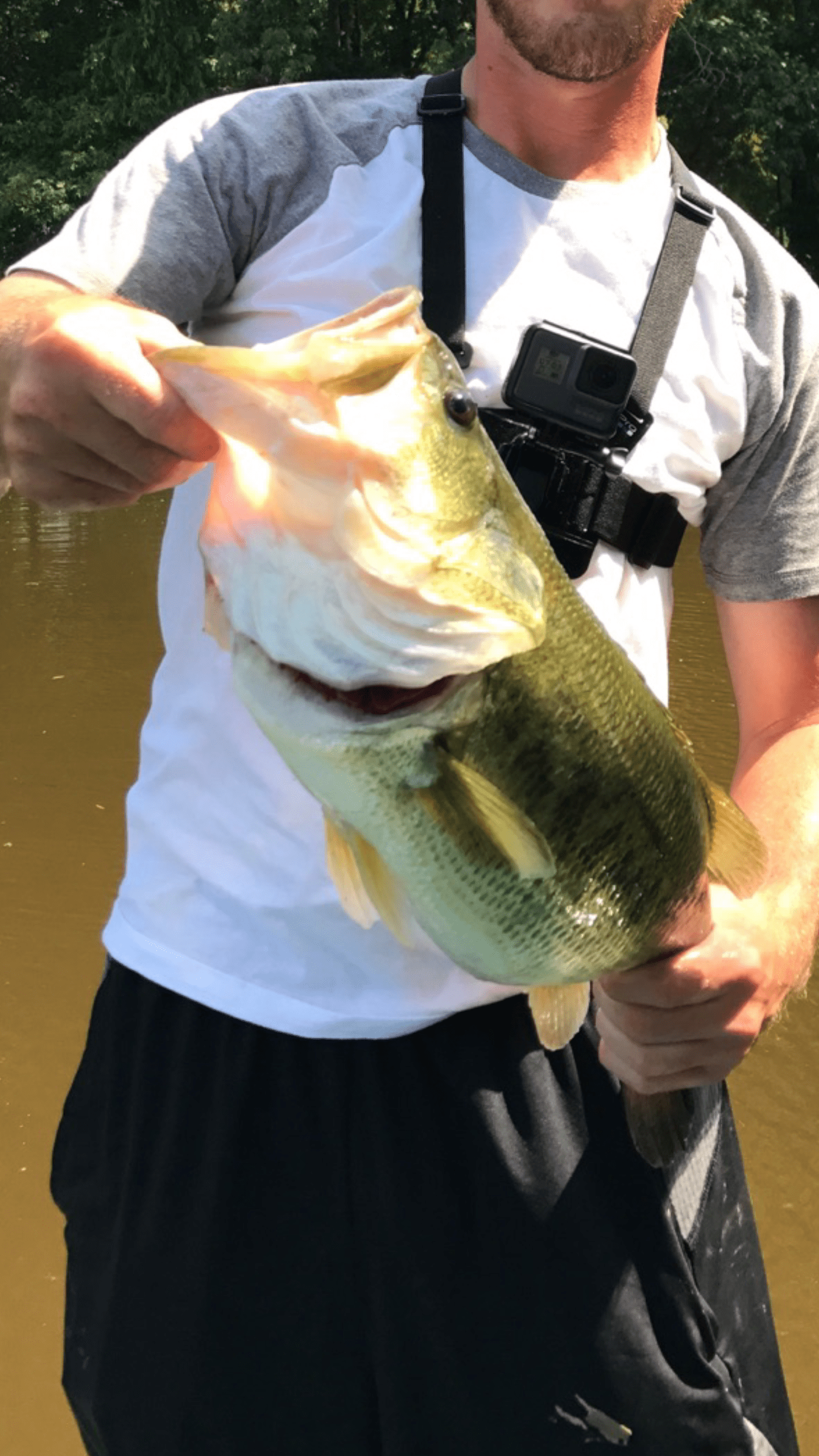 4lb 12oz off a paddleboat in Rossville, TN. Beautiful fish, fun fight