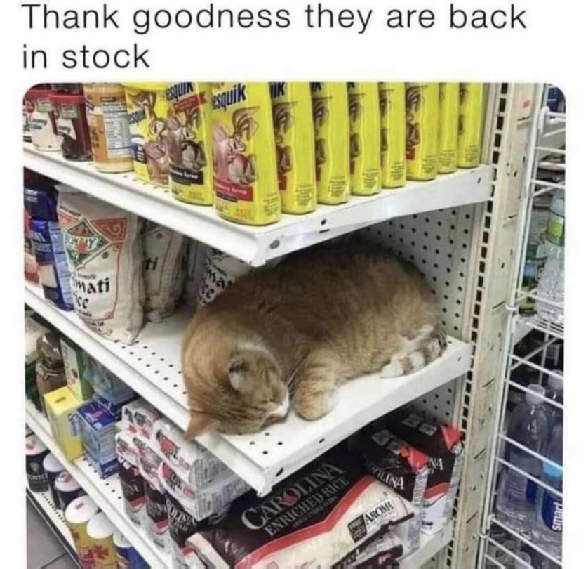 overview for kyrawild