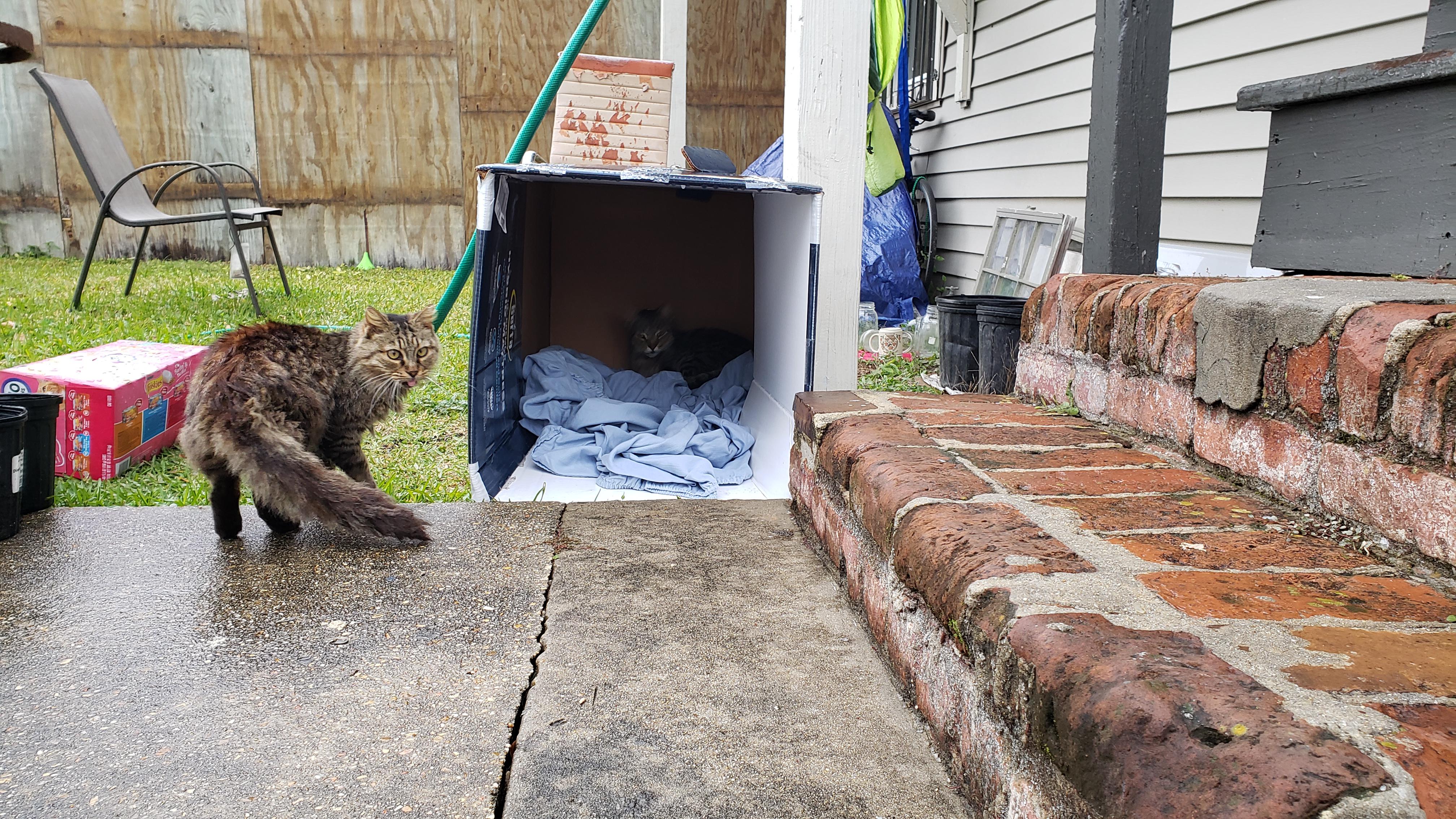 It got down to freezing last night where I live. I put out a box with