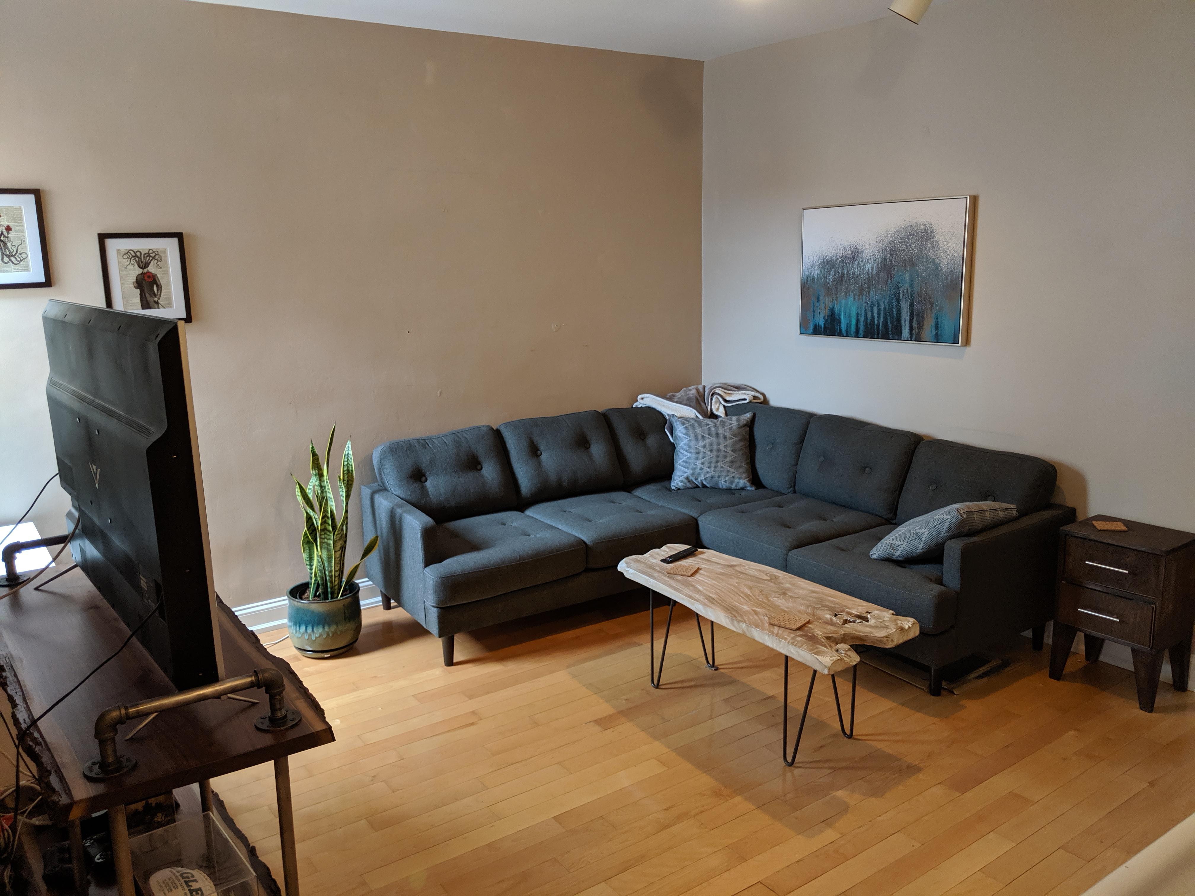 What color rug should I get? Leaning towards something bright and teal