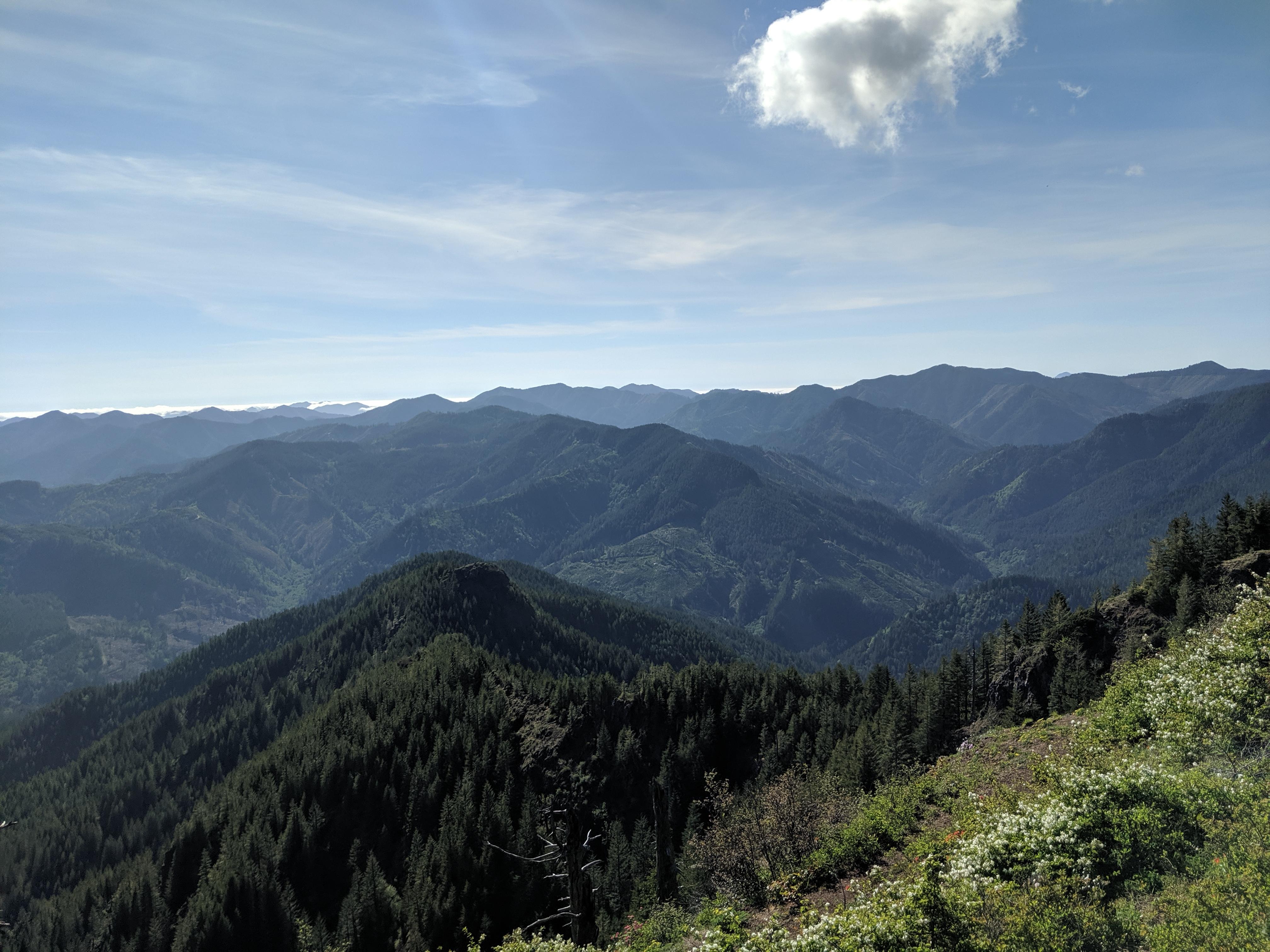 At the top of King's Mountain in Tillamook State Forest, OR. r/hiking