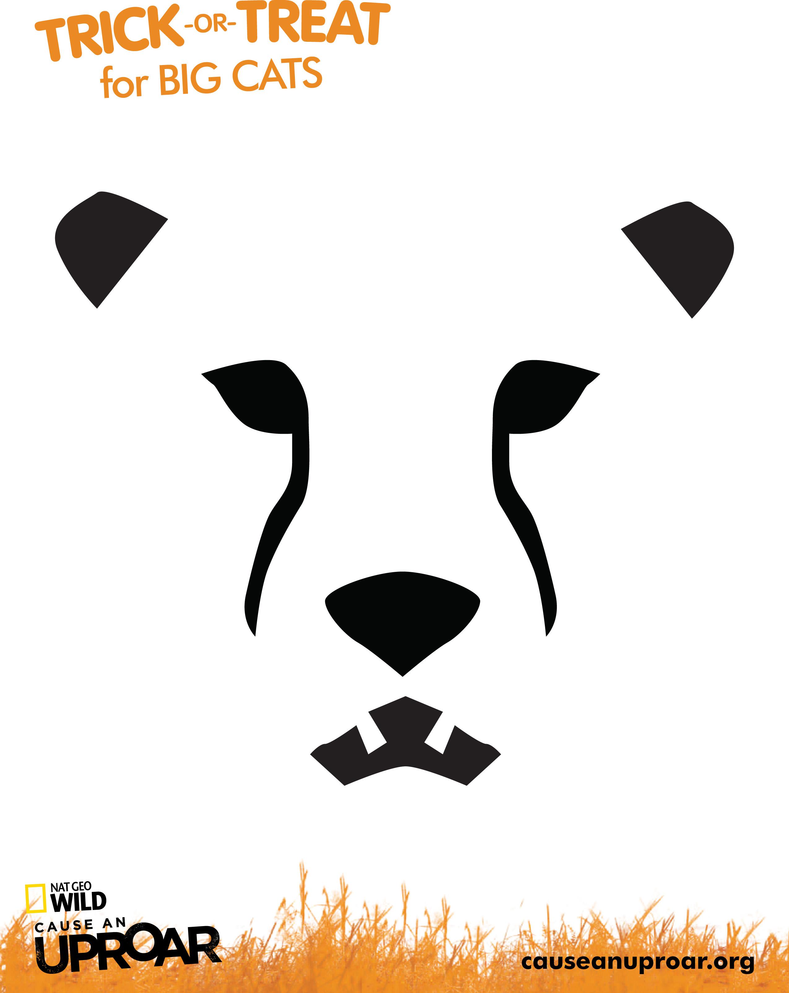 Cheetah (Free Pumpkin Stencil Pumpkin Pattern Pumpkin Template