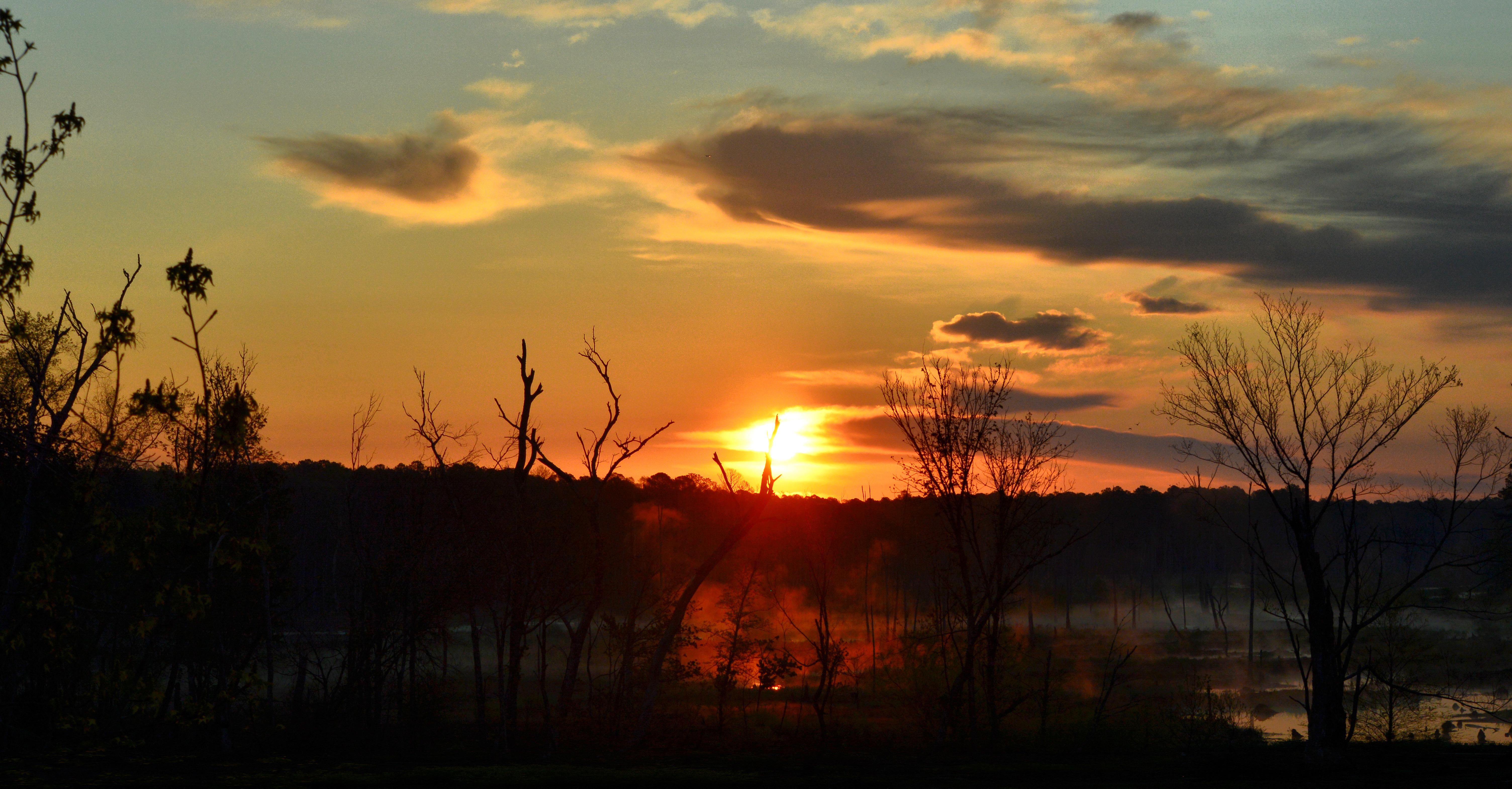 Good morning from North Carolina! r/sunrise