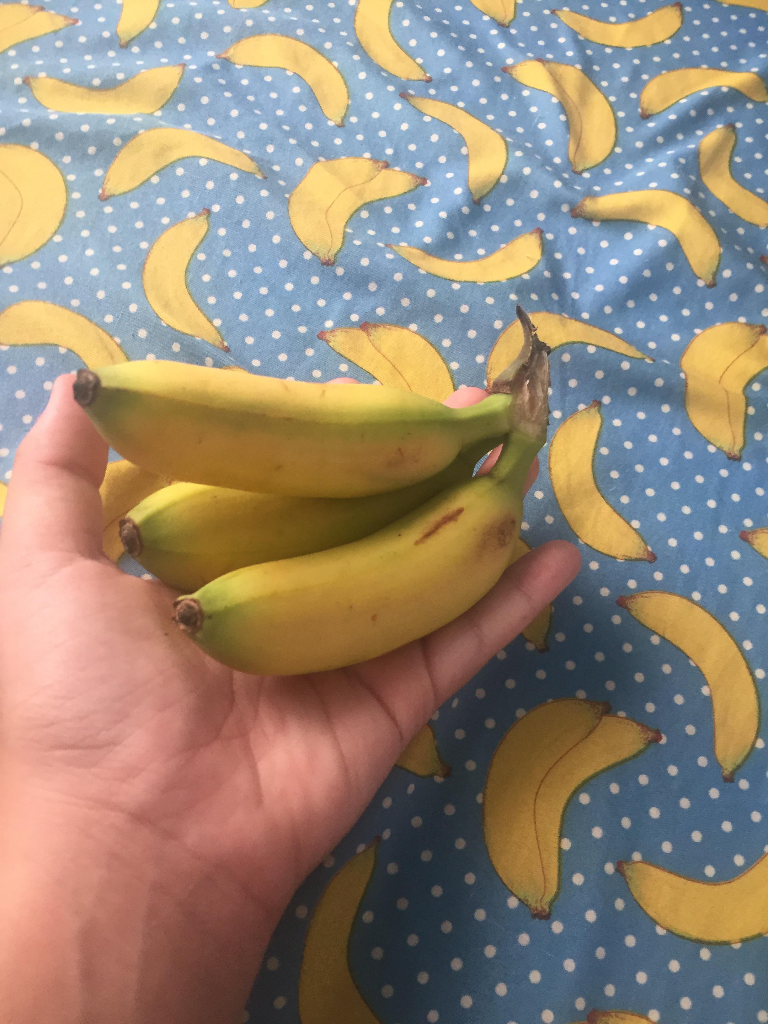 These tiny bananas I found at the store r/pics