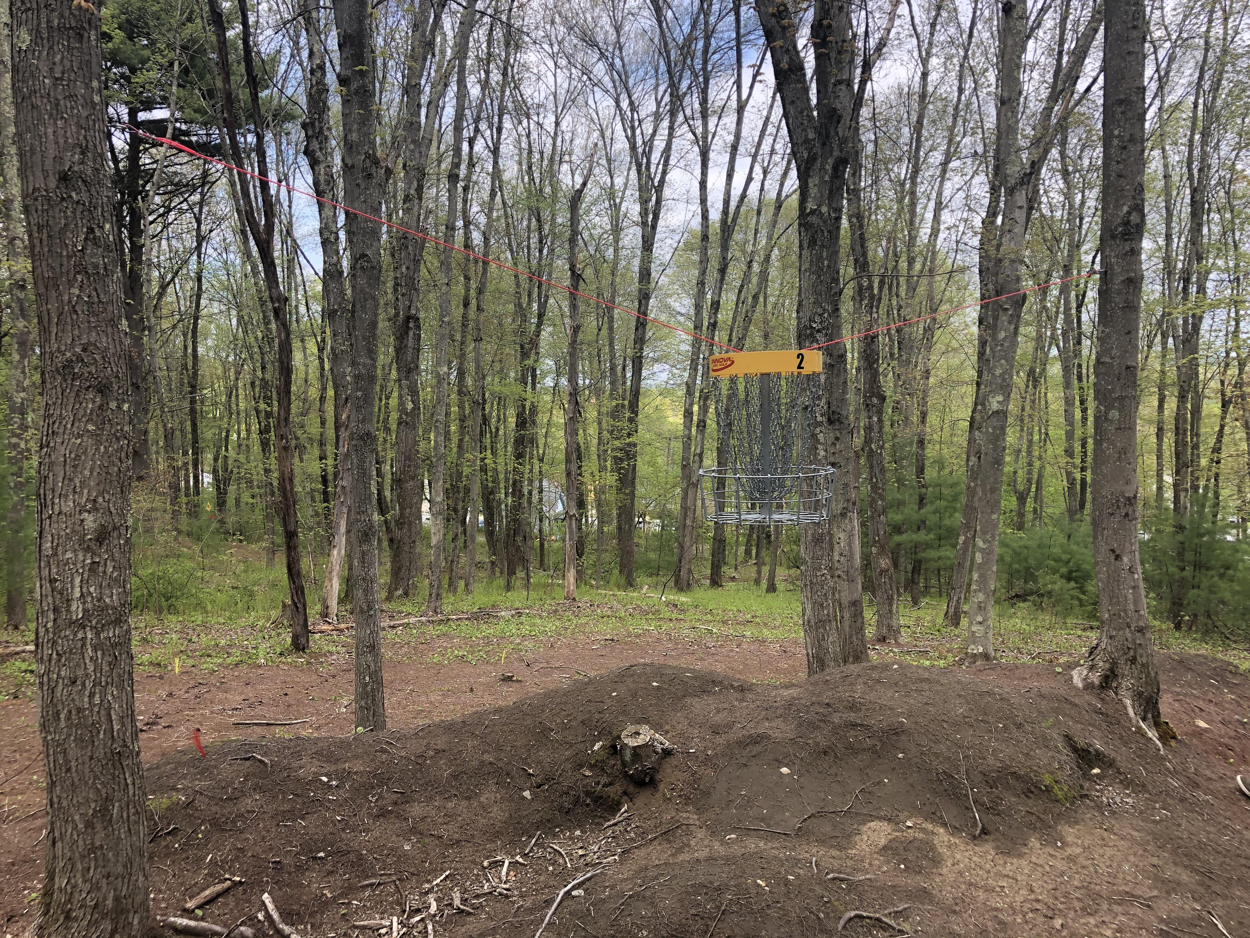 I had not seen suspended chains until the other day. Mountainside at Flynt Park, Massachusetts