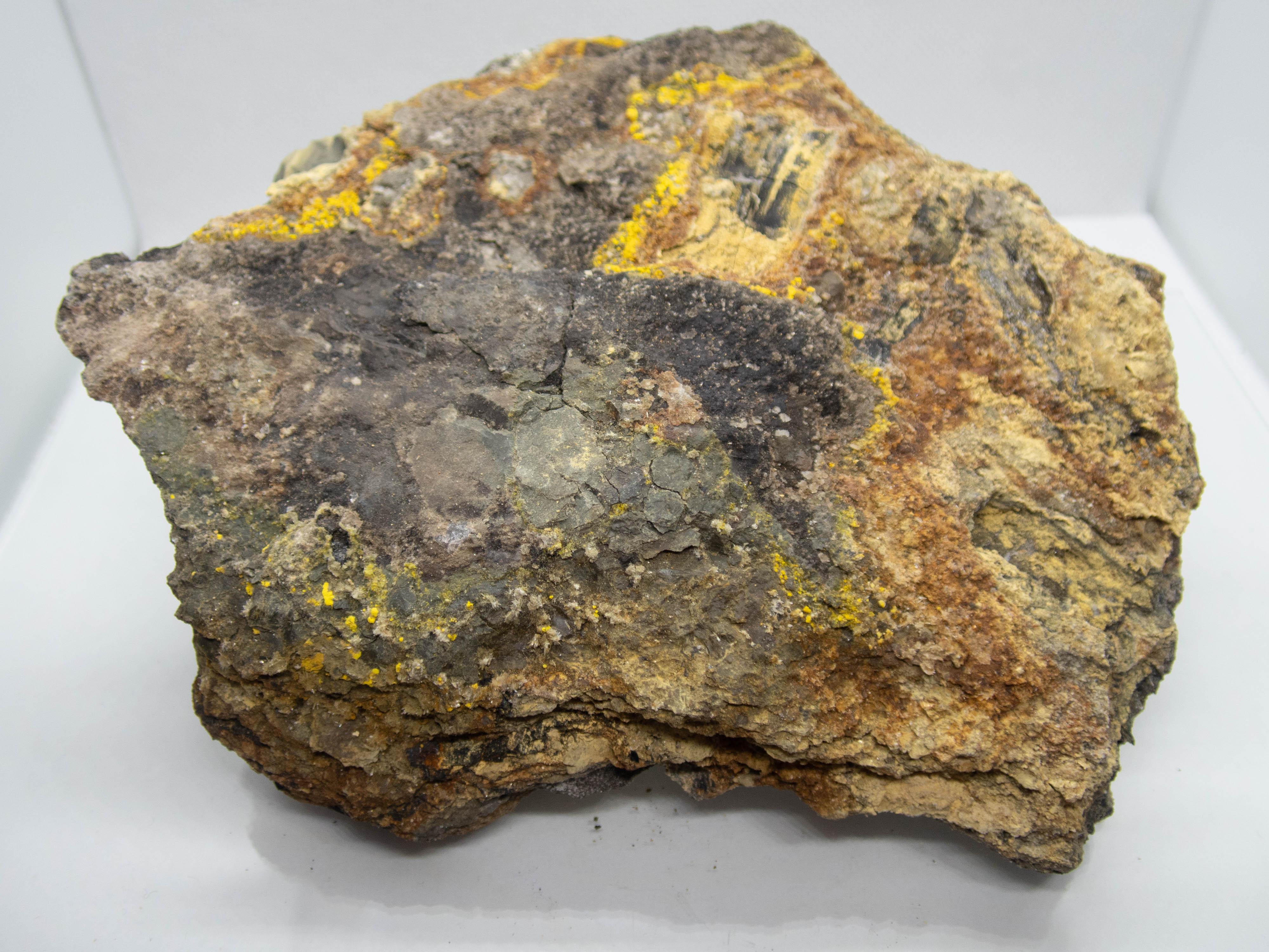 Mostly Pitchblende with Uraniferous Petrified wood & Carnotite Mi
