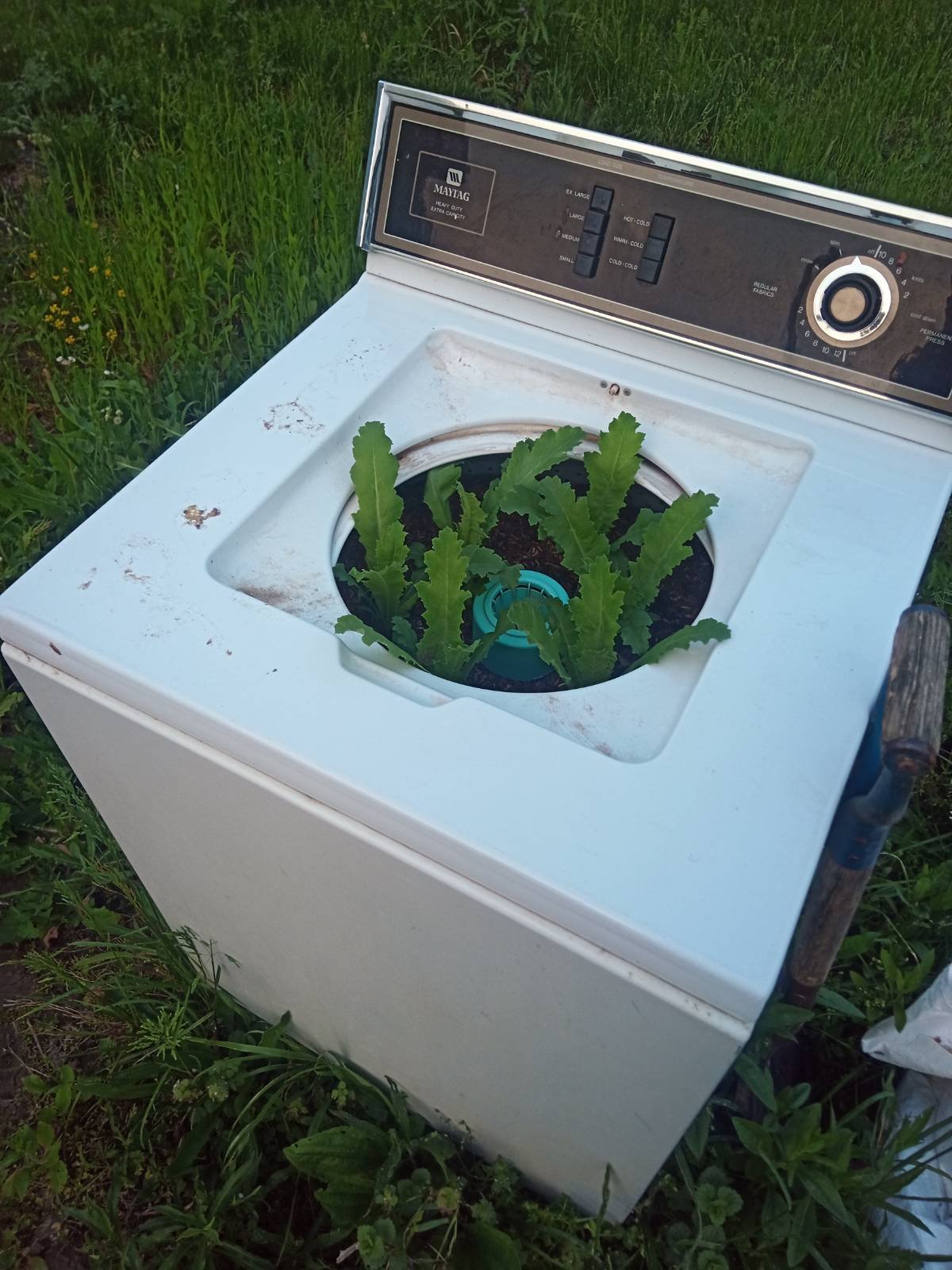 My cousin is using a broken washing machine as a planter. r/upcycling