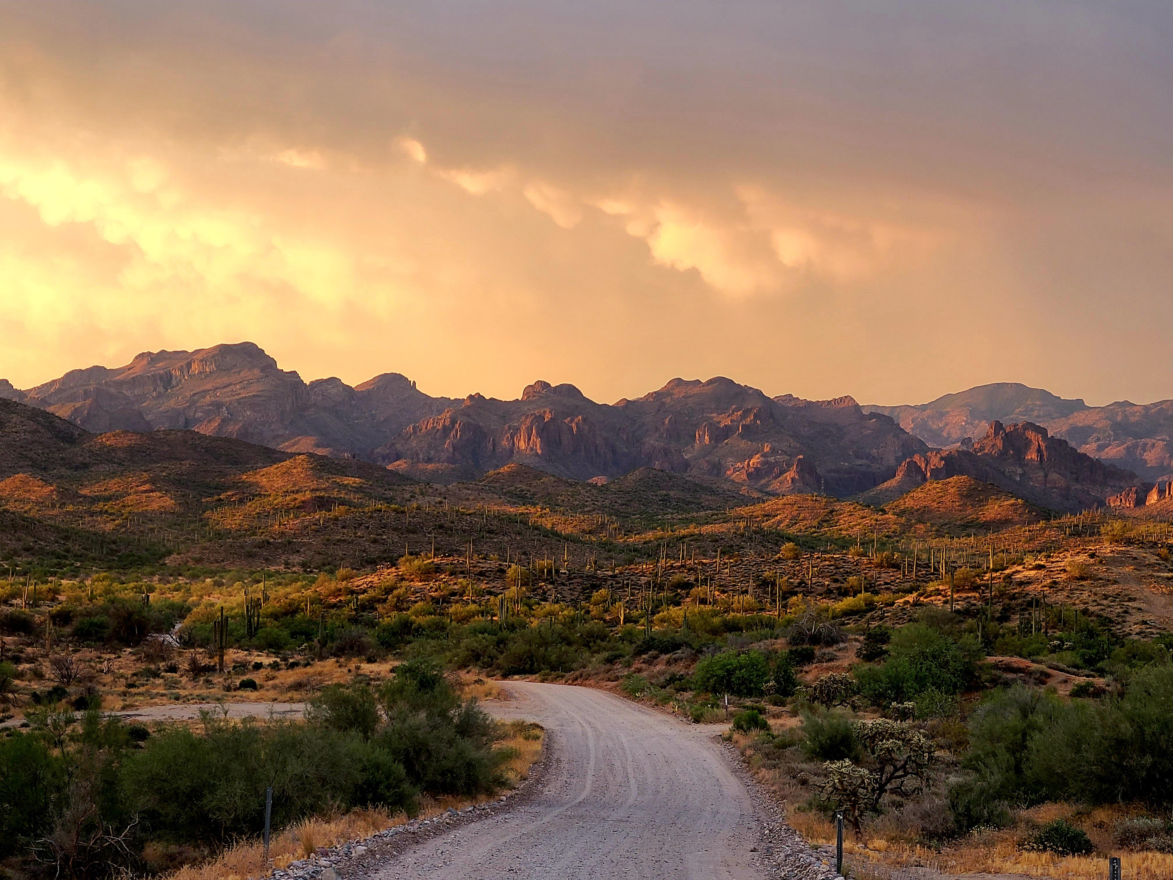 Just east of Queen Valley r/arizona