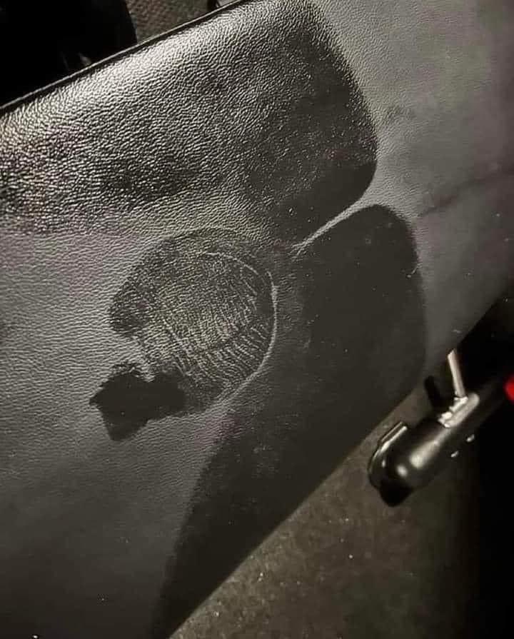 This sweat stain on a gym bench r/awfuleverything