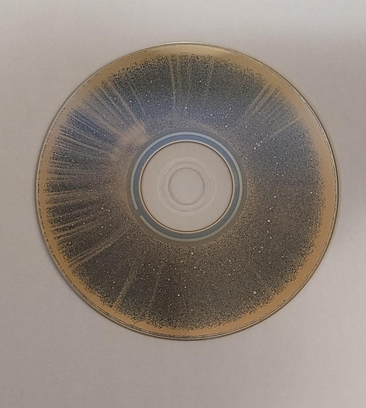 BluRay Disc Rot r/mildlyinteresting