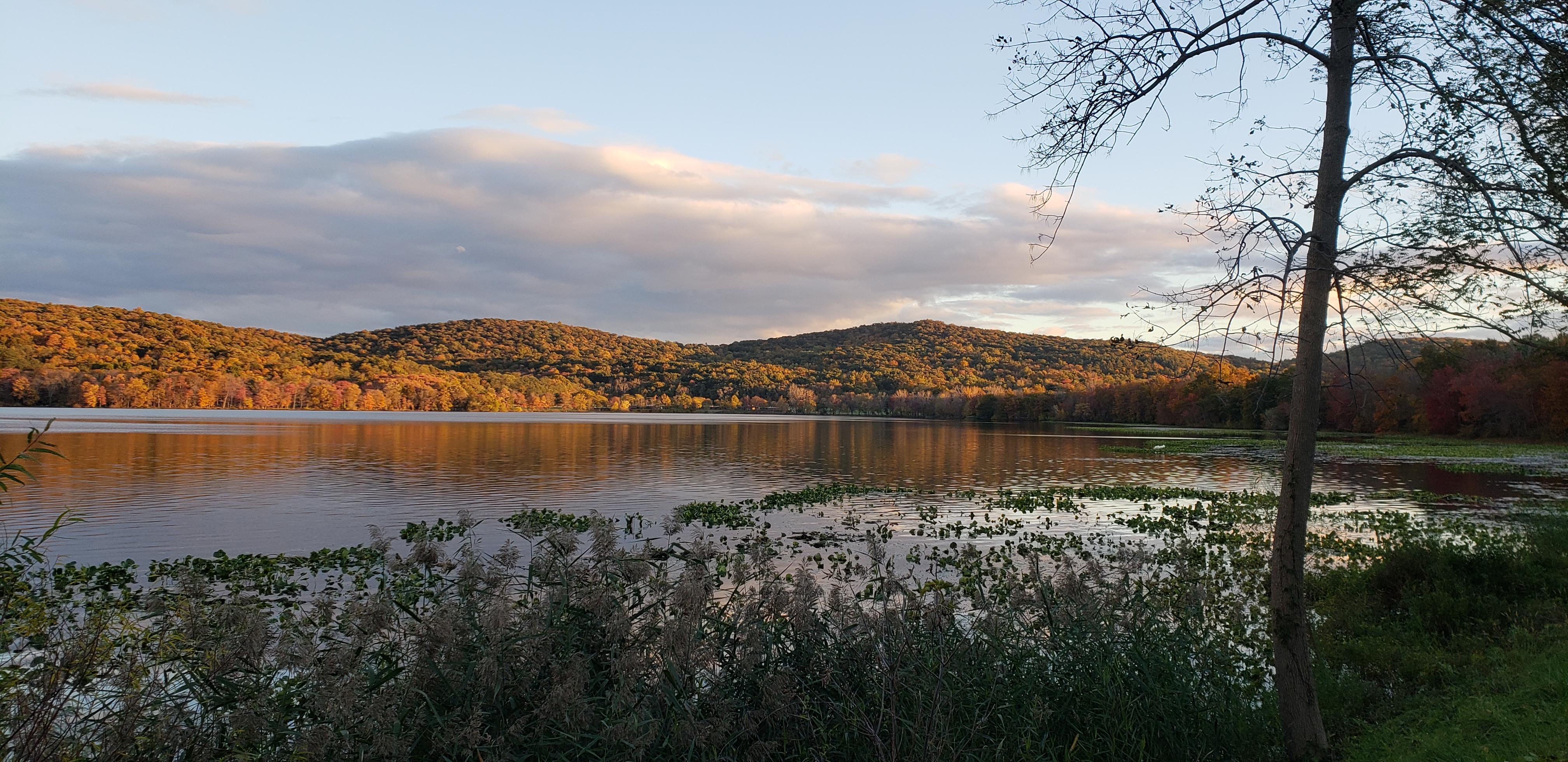 Rockland Lake State Park, NY r/pics