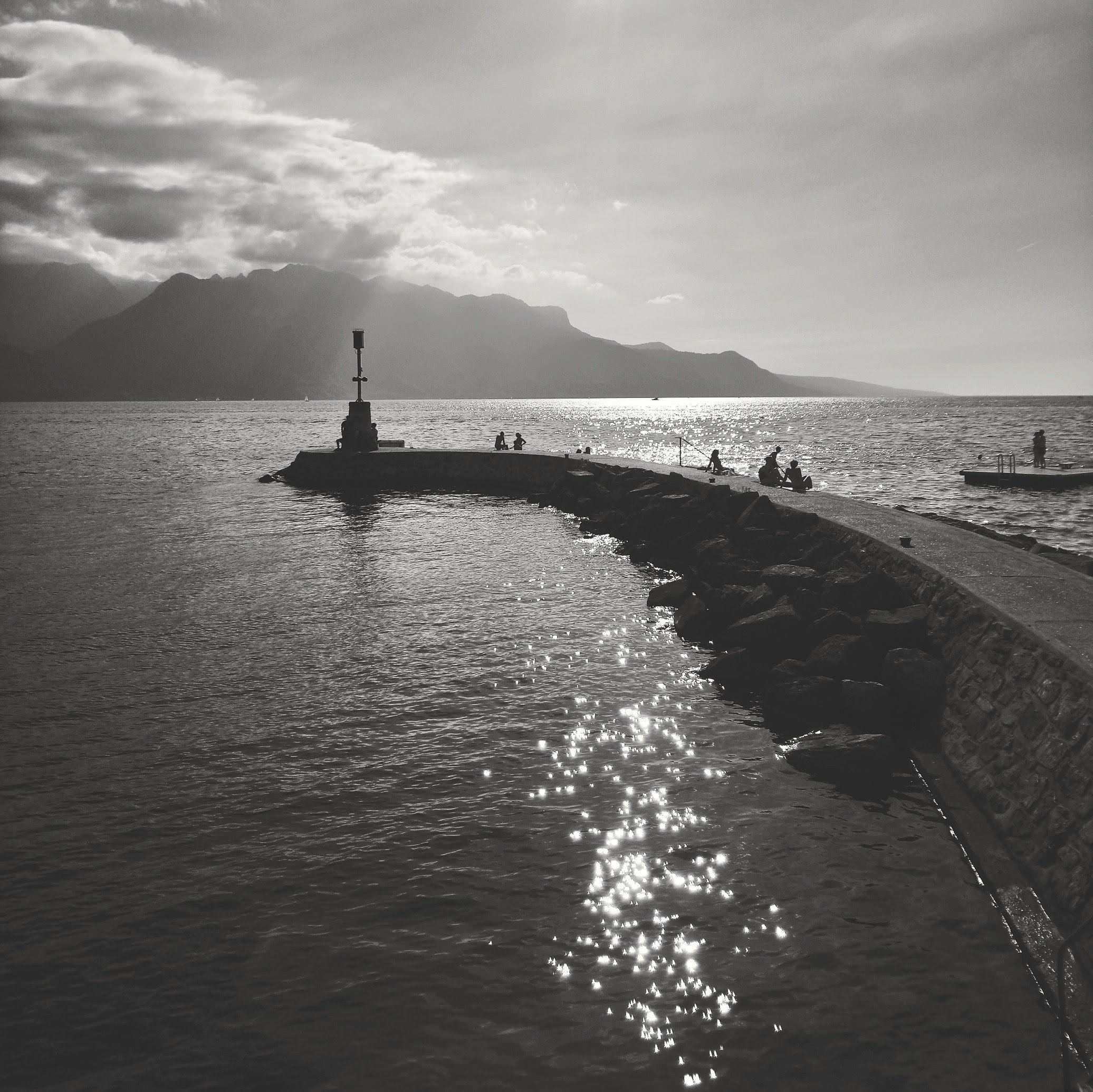 La tourdePeilz , Switzerland r/blackandwhite