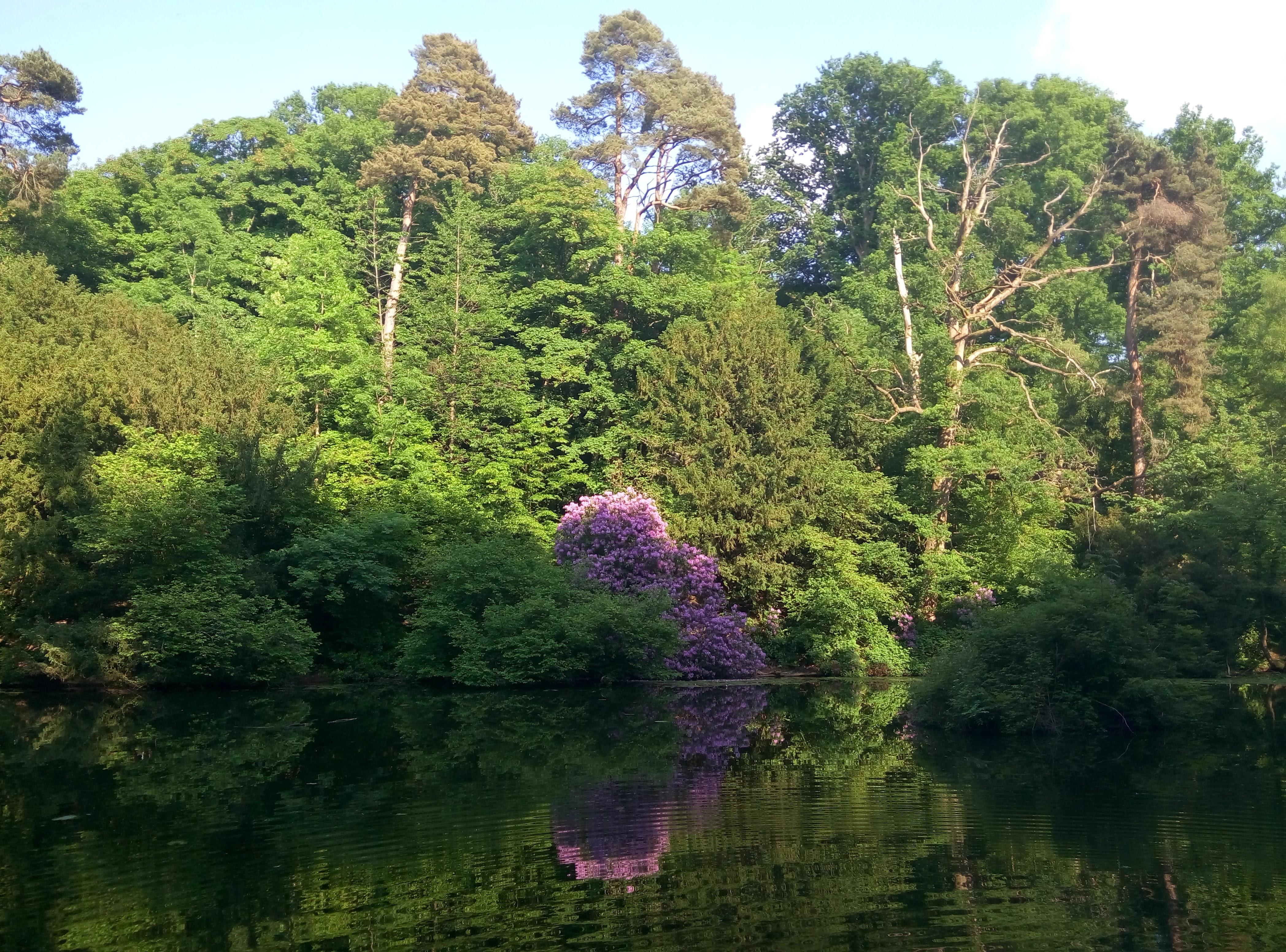 ashton pond Reddit post and comment search SocialGrep