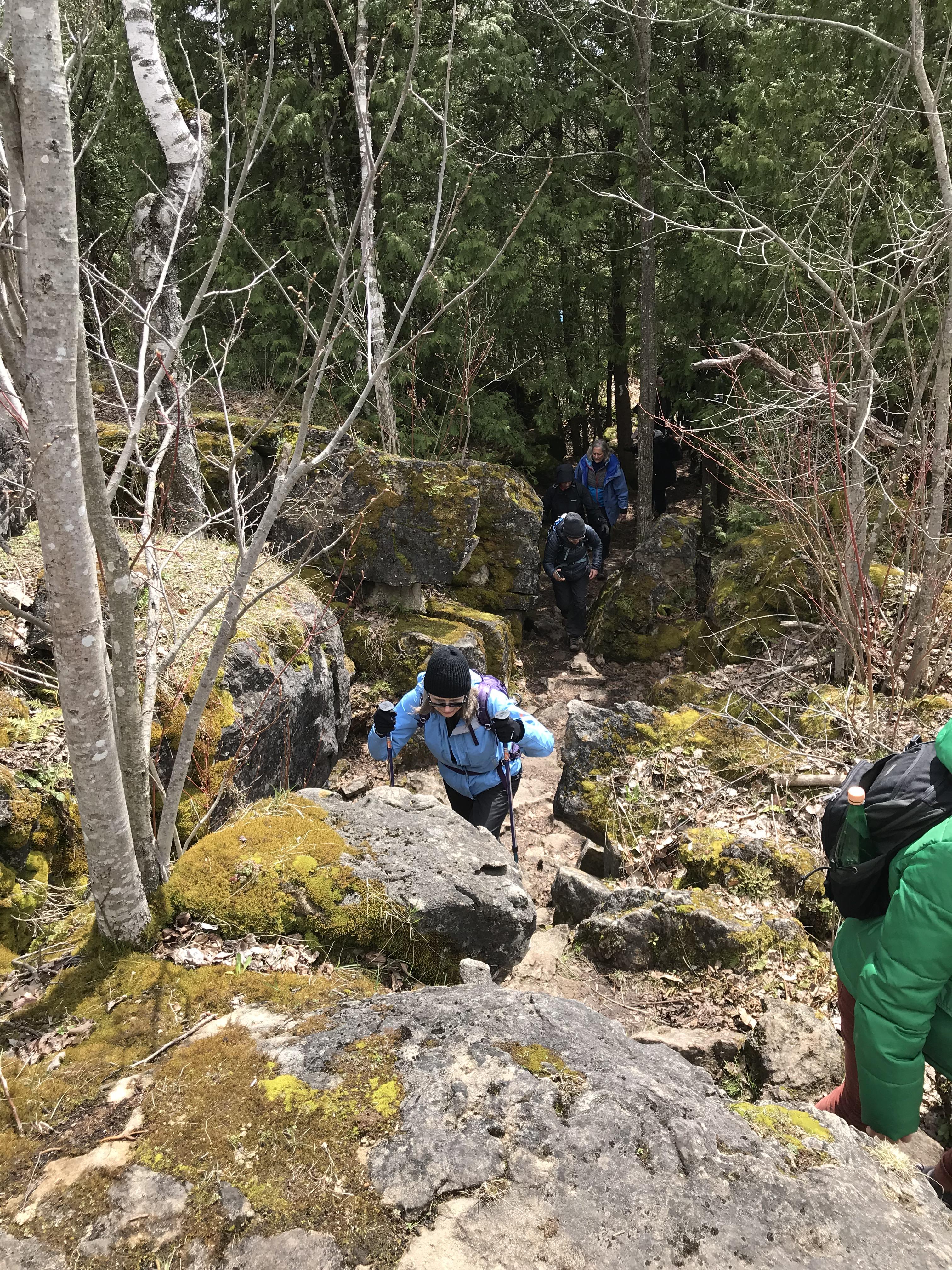 I joined a hiking club and had a great first hike on the Bruce Trail