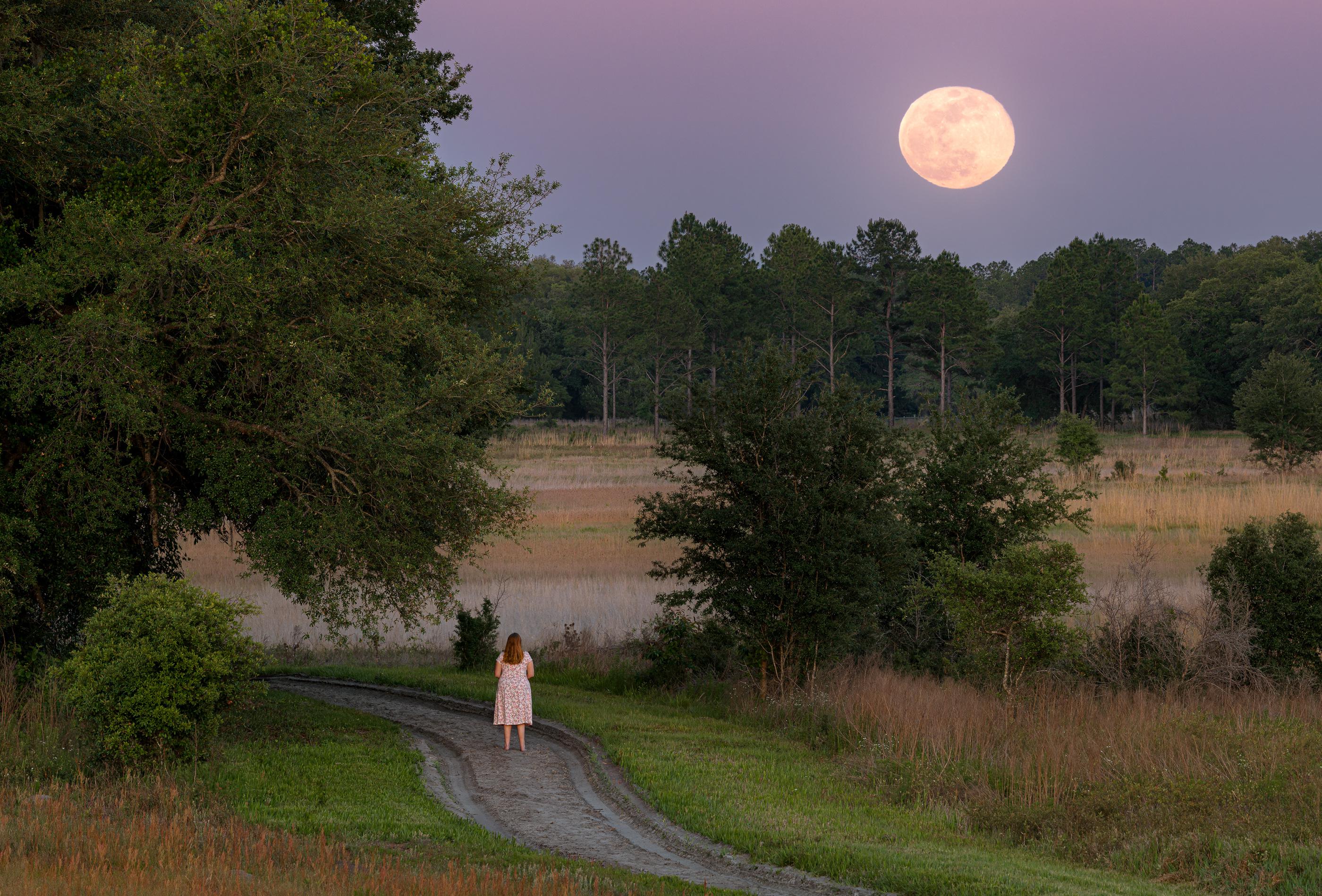 Full Moon Rising over Watermelon Pond near Gainesville, Florida [OC
