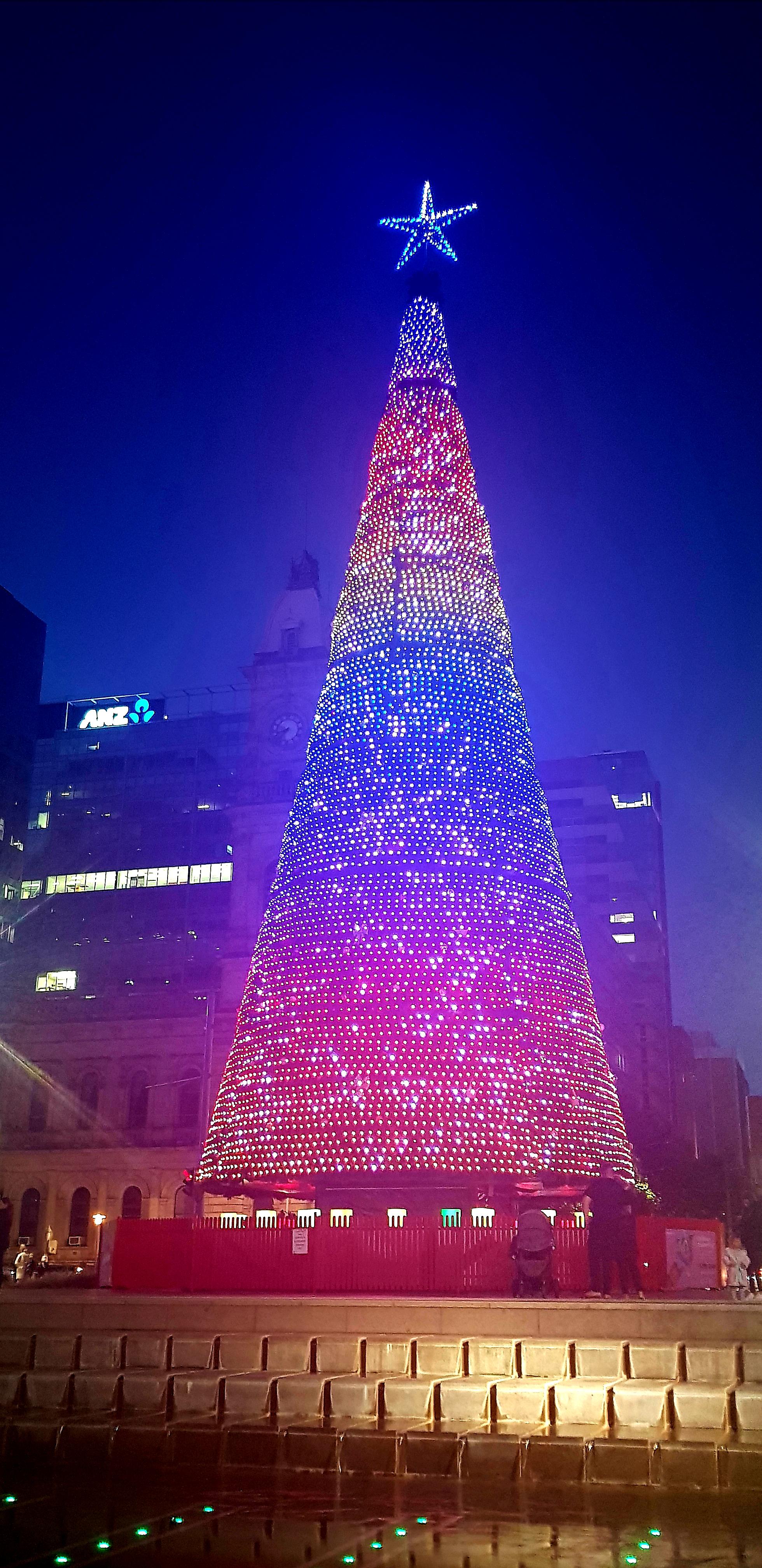 The Adelaide Christmas Tree 2021 r/Adelaide