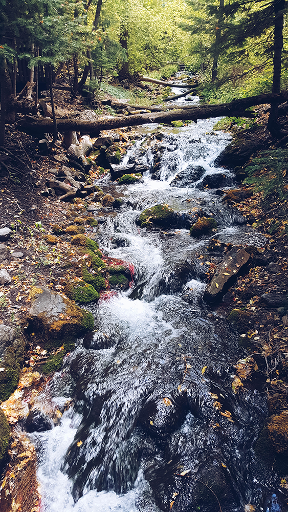 First time at Millcreek Canyon, Utah. [OC][563x1000] r/EarthPorn