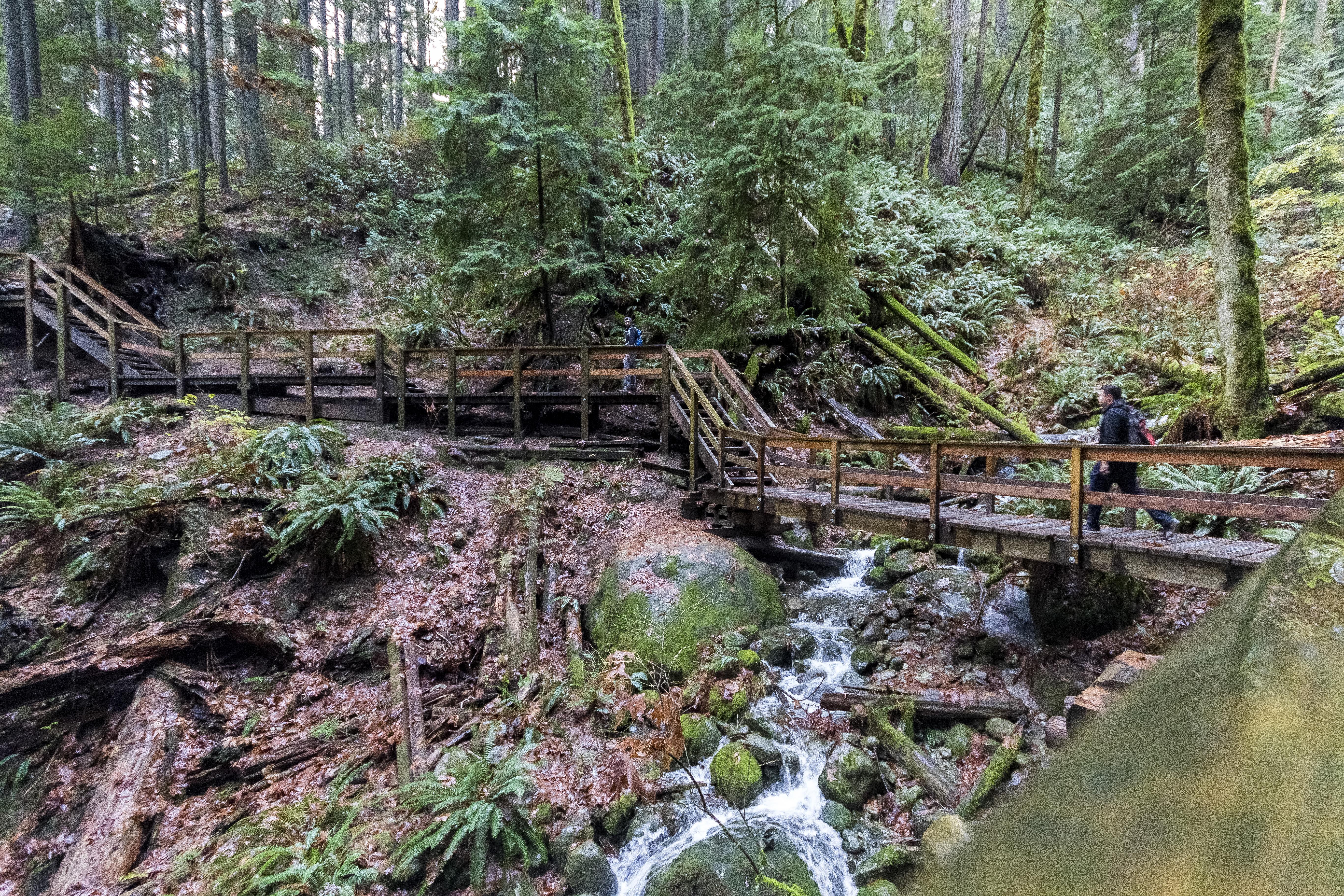 Deep Cove, Quarry Rock, British Columbia, CANADA r/hiking