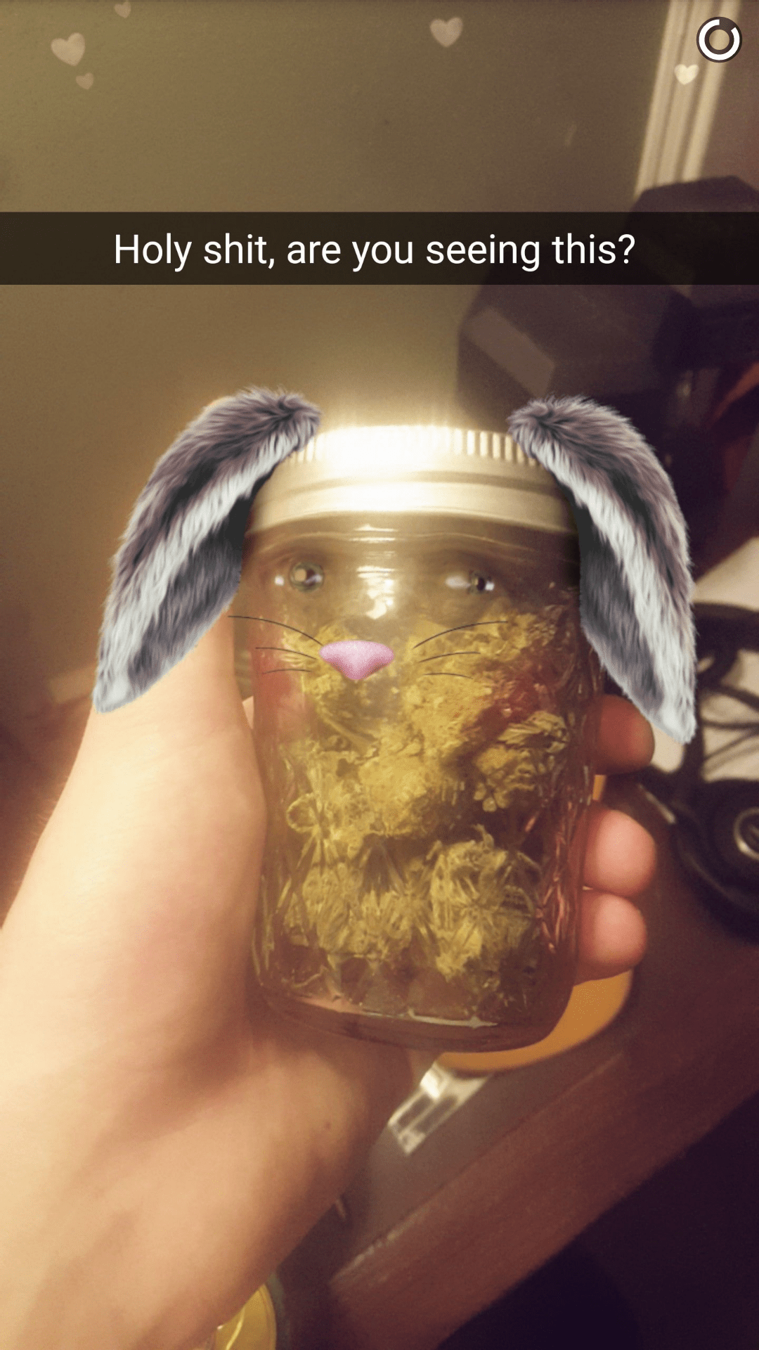 Snapchat + weed = r/trees