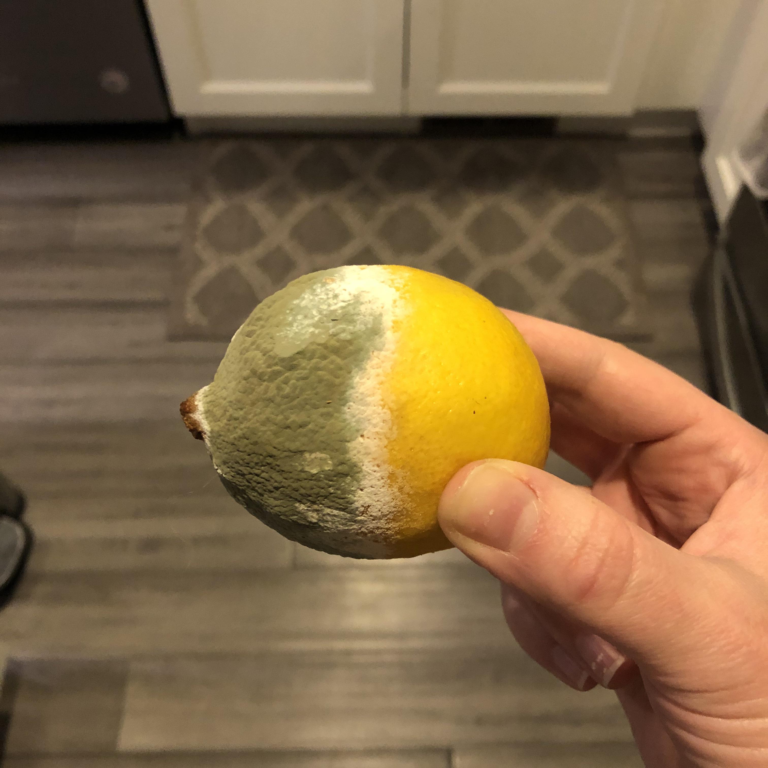 Only half of this lemon turned moldy r/mildlyinteresting