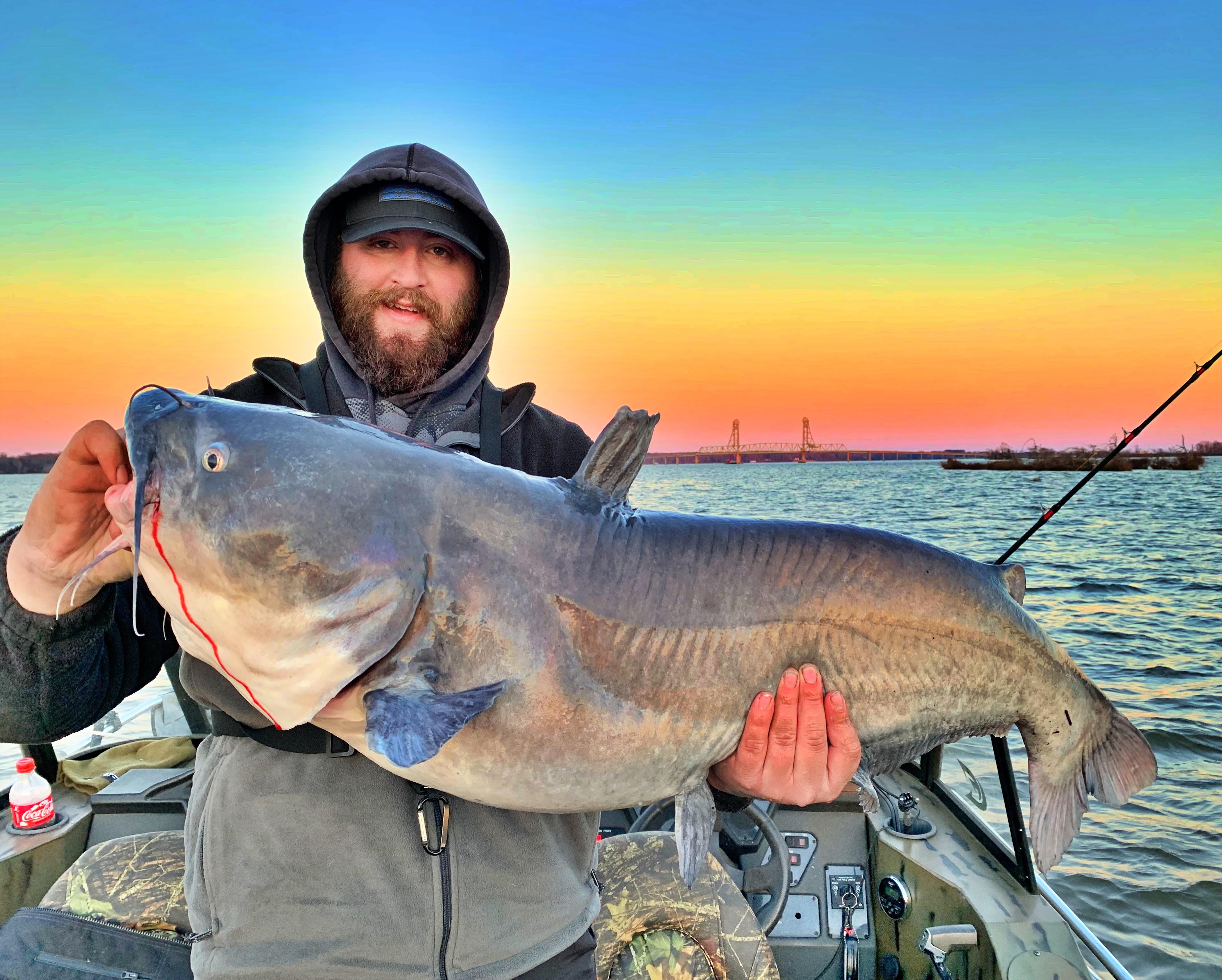 My new PB Blue Catfish! r/Fishing