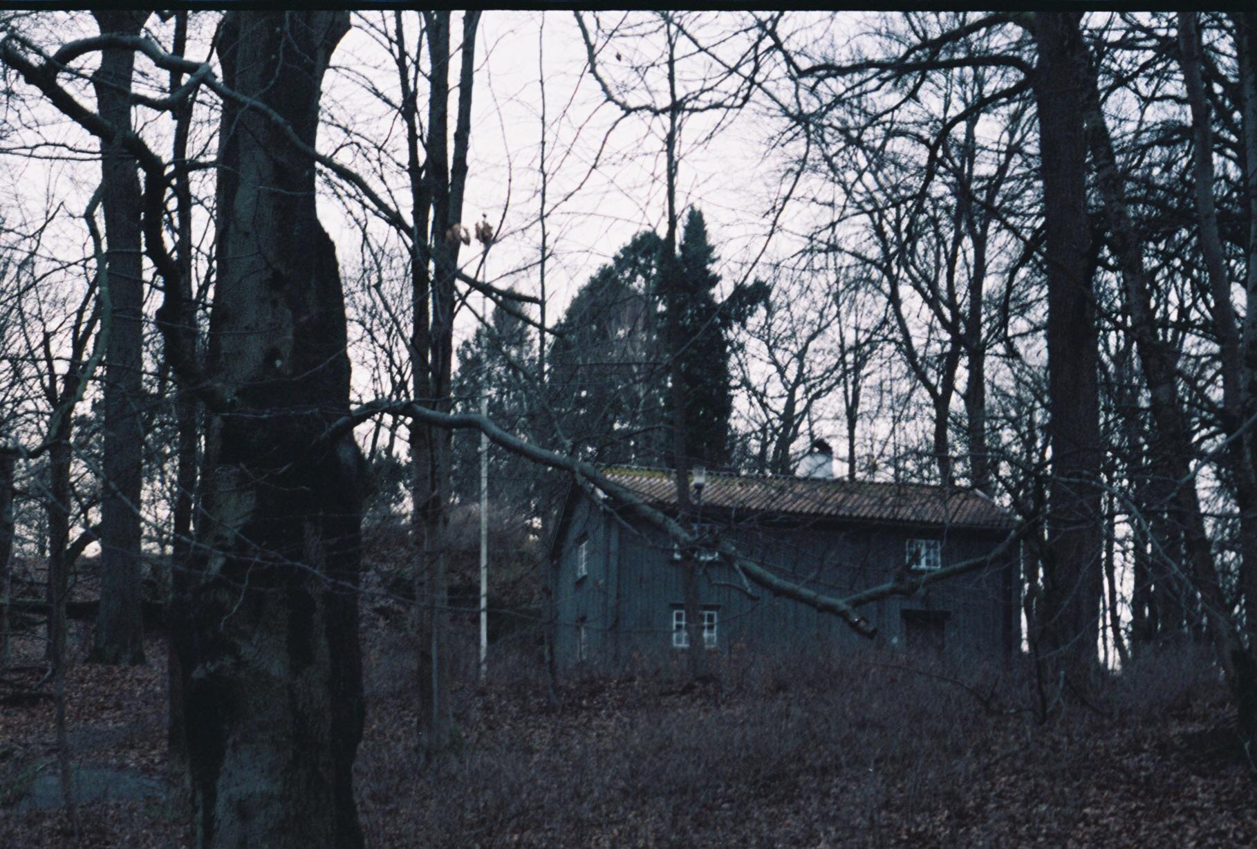 Cabin in the woods using expired Fujifilm 100 (exp. 2000) shot on a