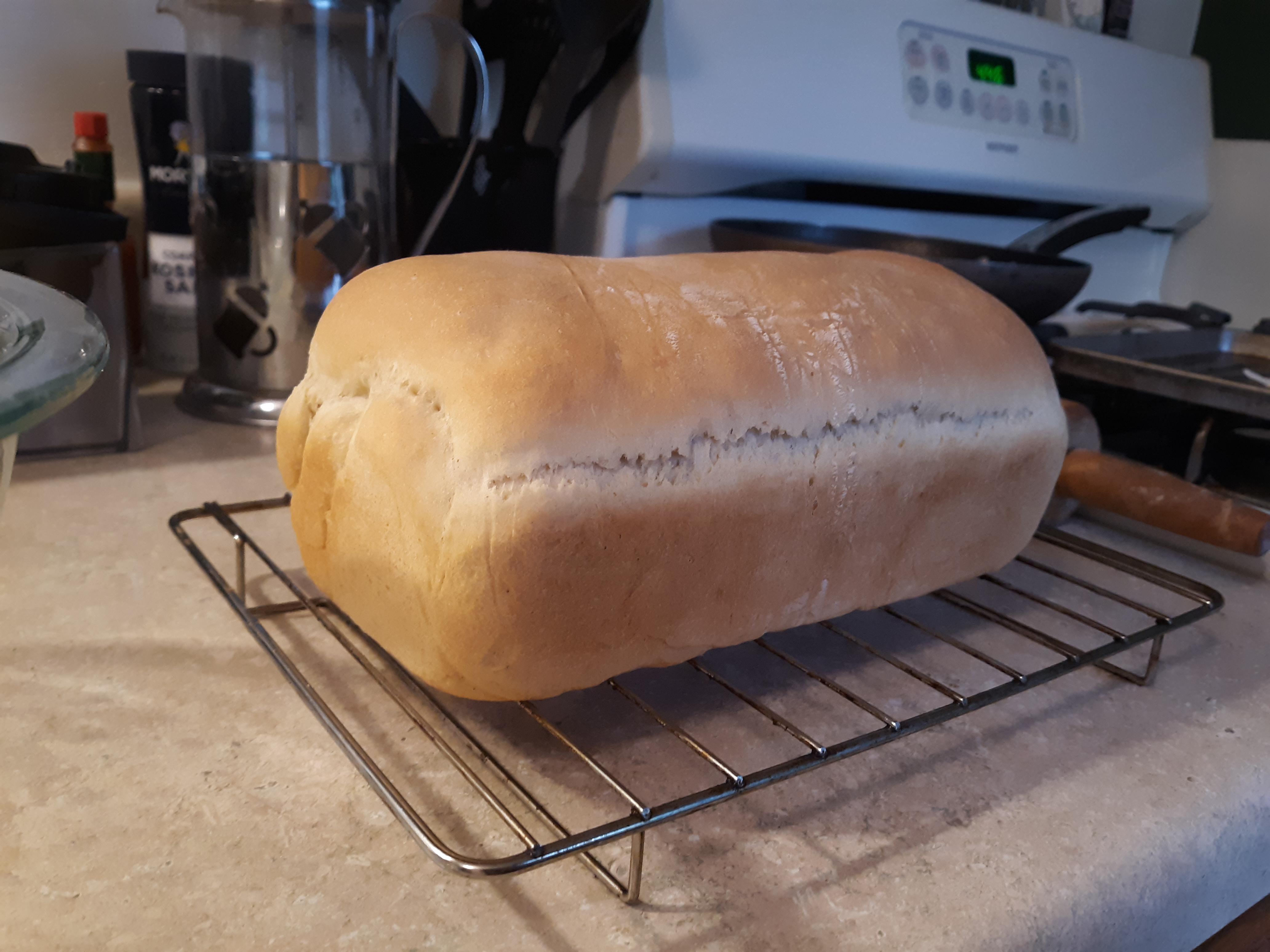 First loaf of bread from scratch. I AM SO PROUD, I MUST SHARE. pics