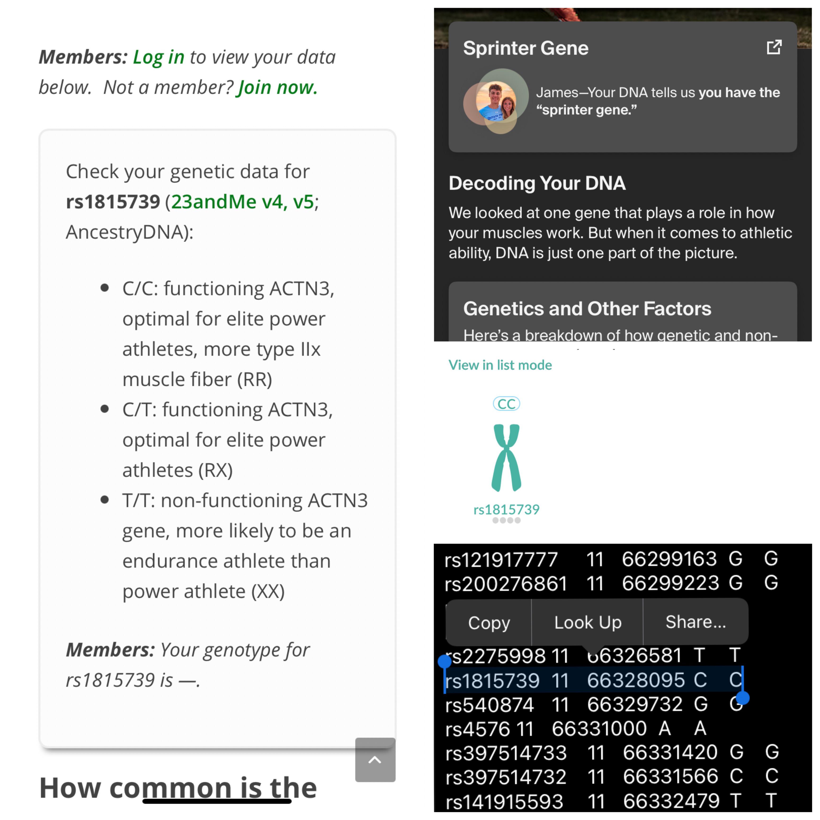 Took DNA test and found out I have the full two genes of the ACTN3, in