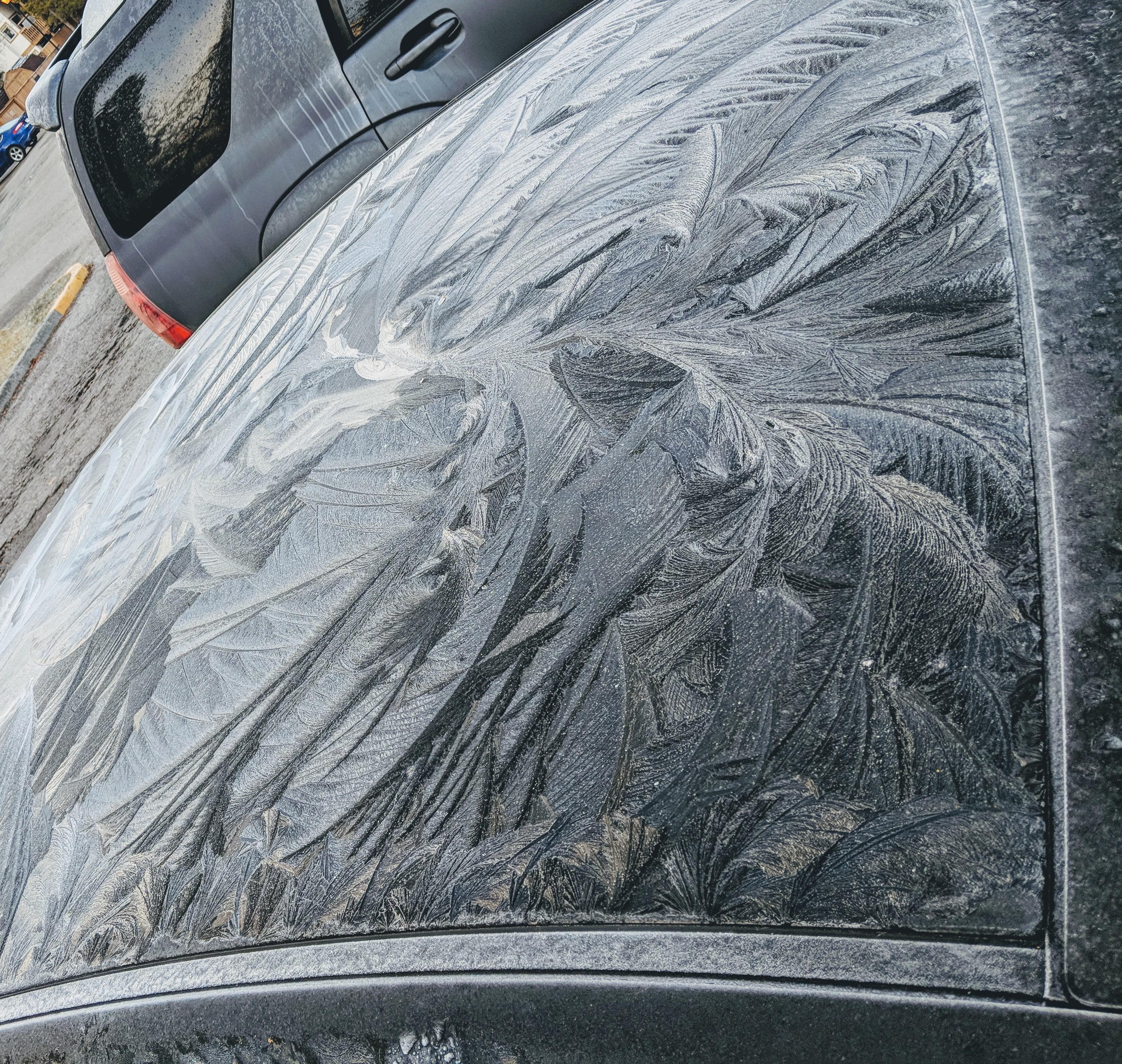 The frost on the roof of this car r/mildlyinteresting