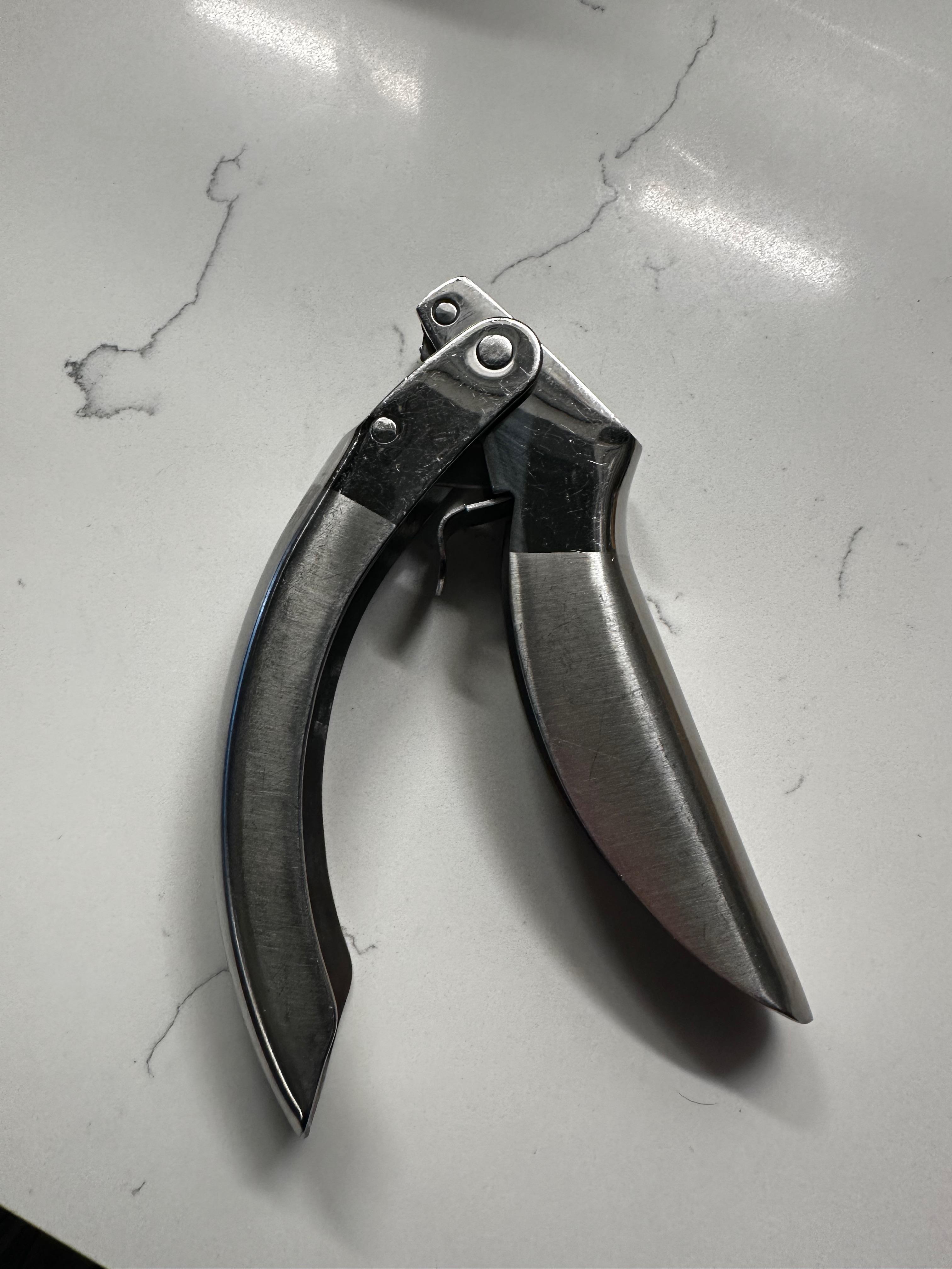 Kuhn Rikon Epicurean Garlic Press r/BuyItForLife