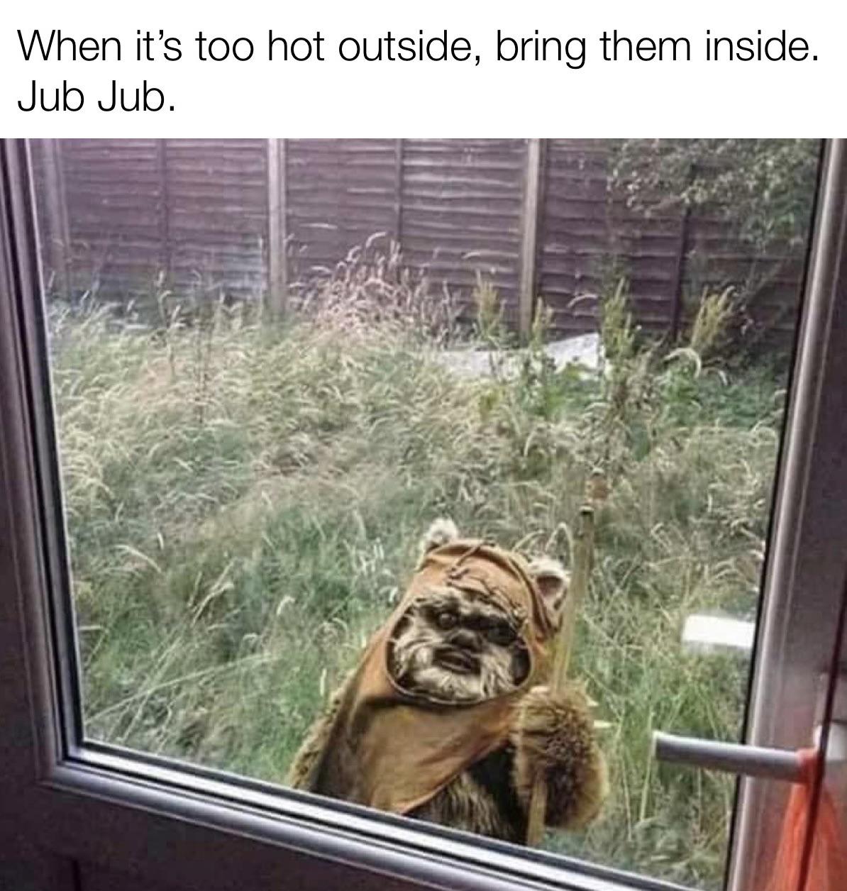 Maltese Too Hot Outside Meme Anyone Else's Puppy Just Stops And Chill